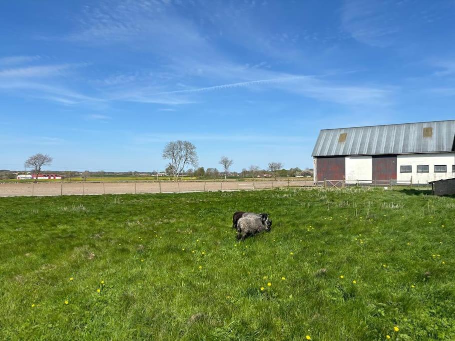 Hotel Osterlen Oasis