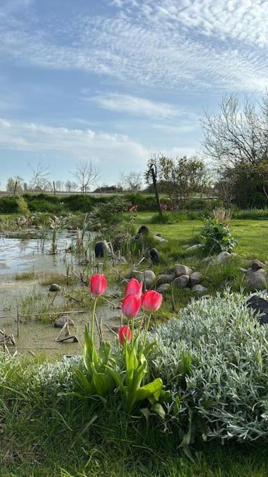 Österlen Oasis