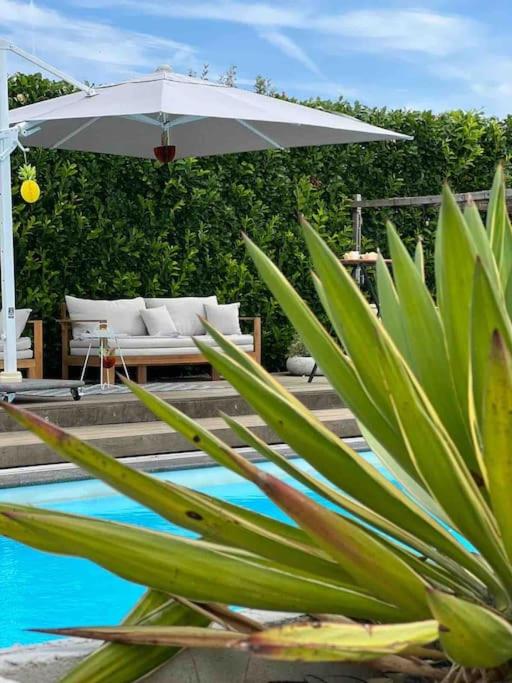 Guest house with private pool & jacuzzi view 2