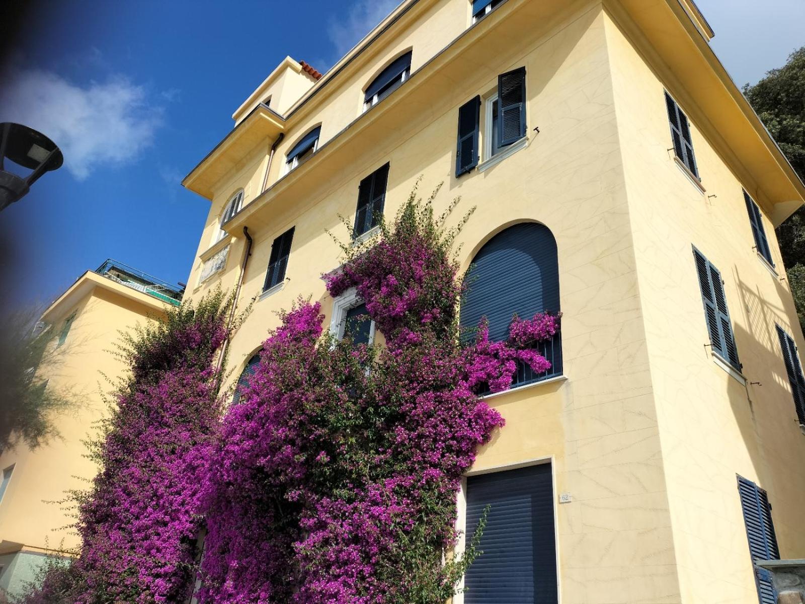 La Bouganville Beatiful Sea view photo 2