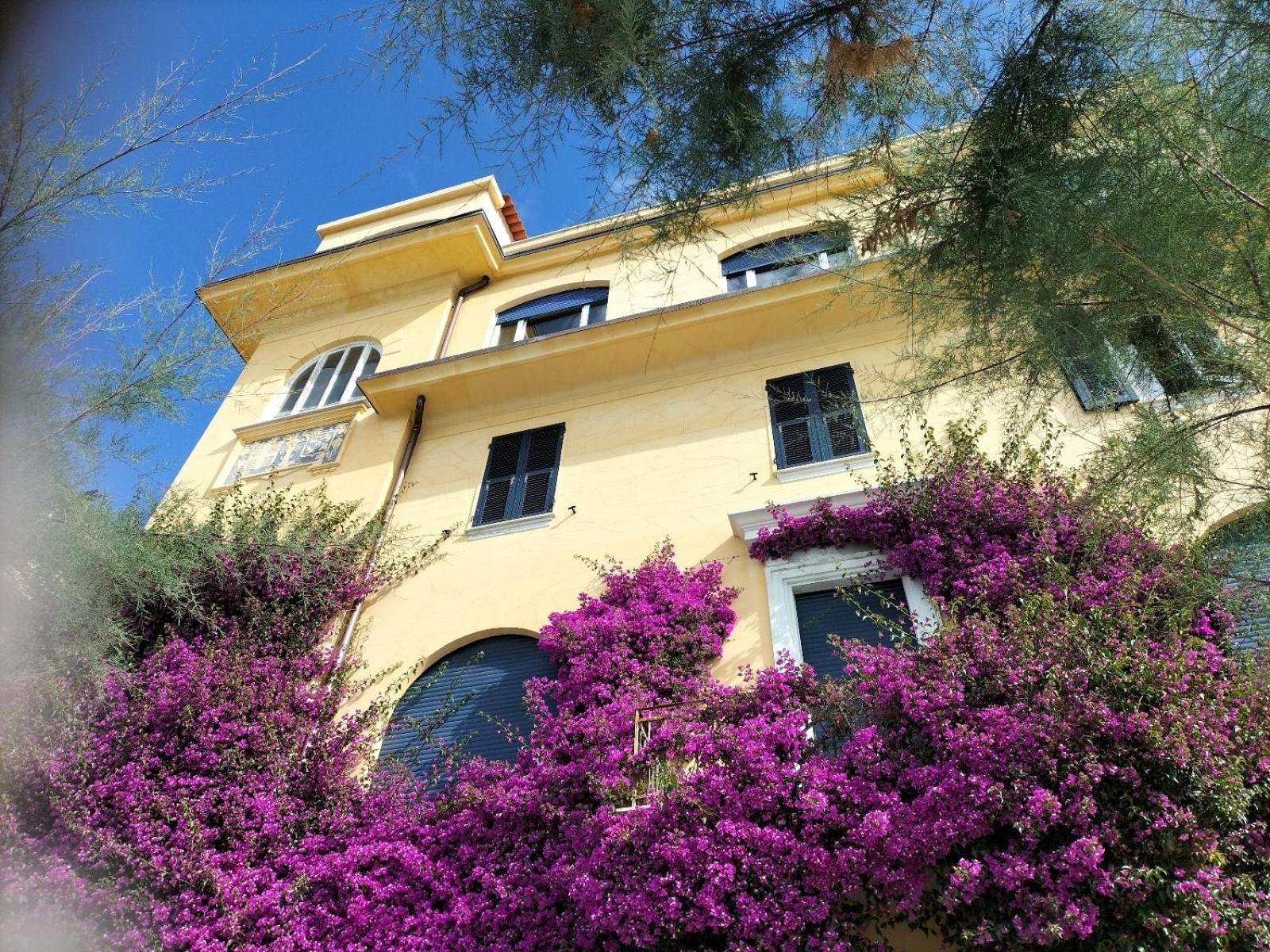 La Bouganville Beatiful Sea view photo 1