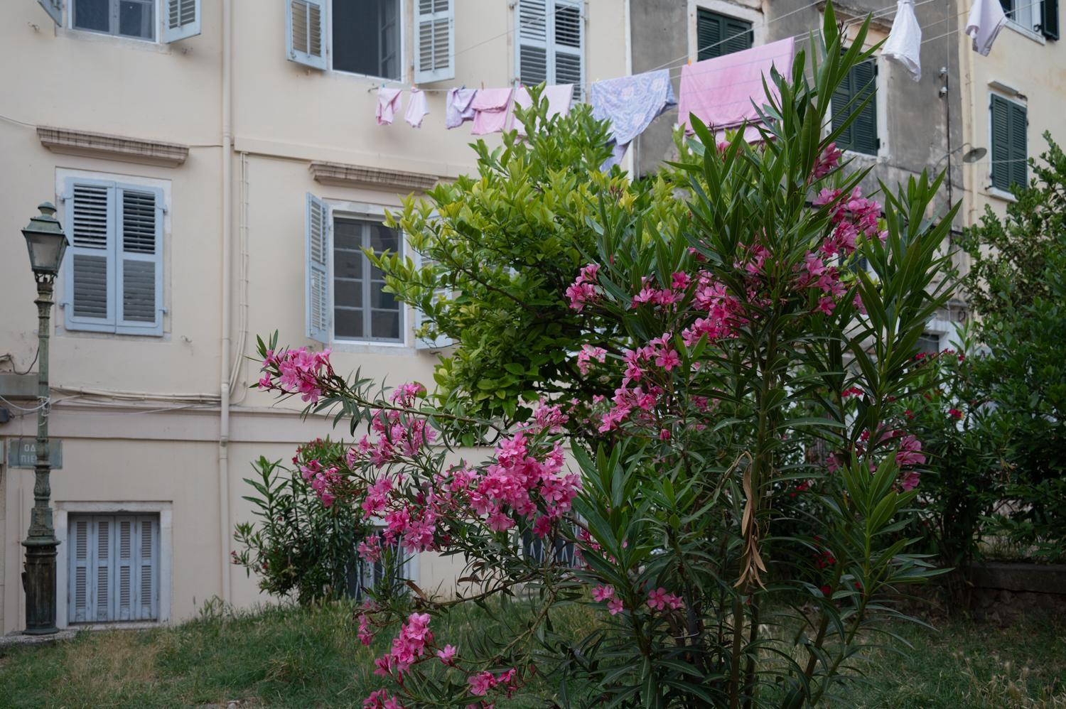 Iliokambida house