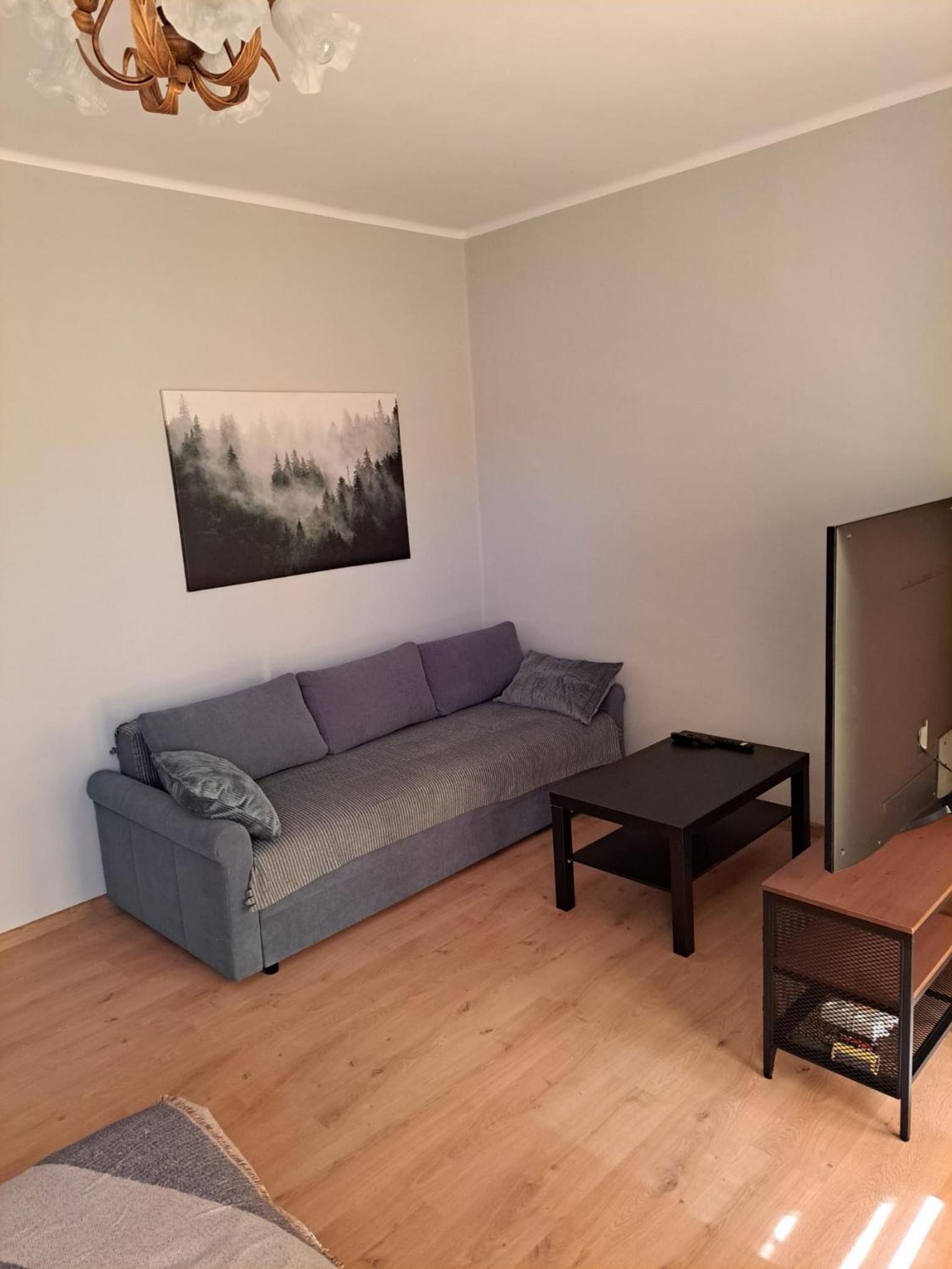 Comfortable Apartment close to Spodek, photo 42