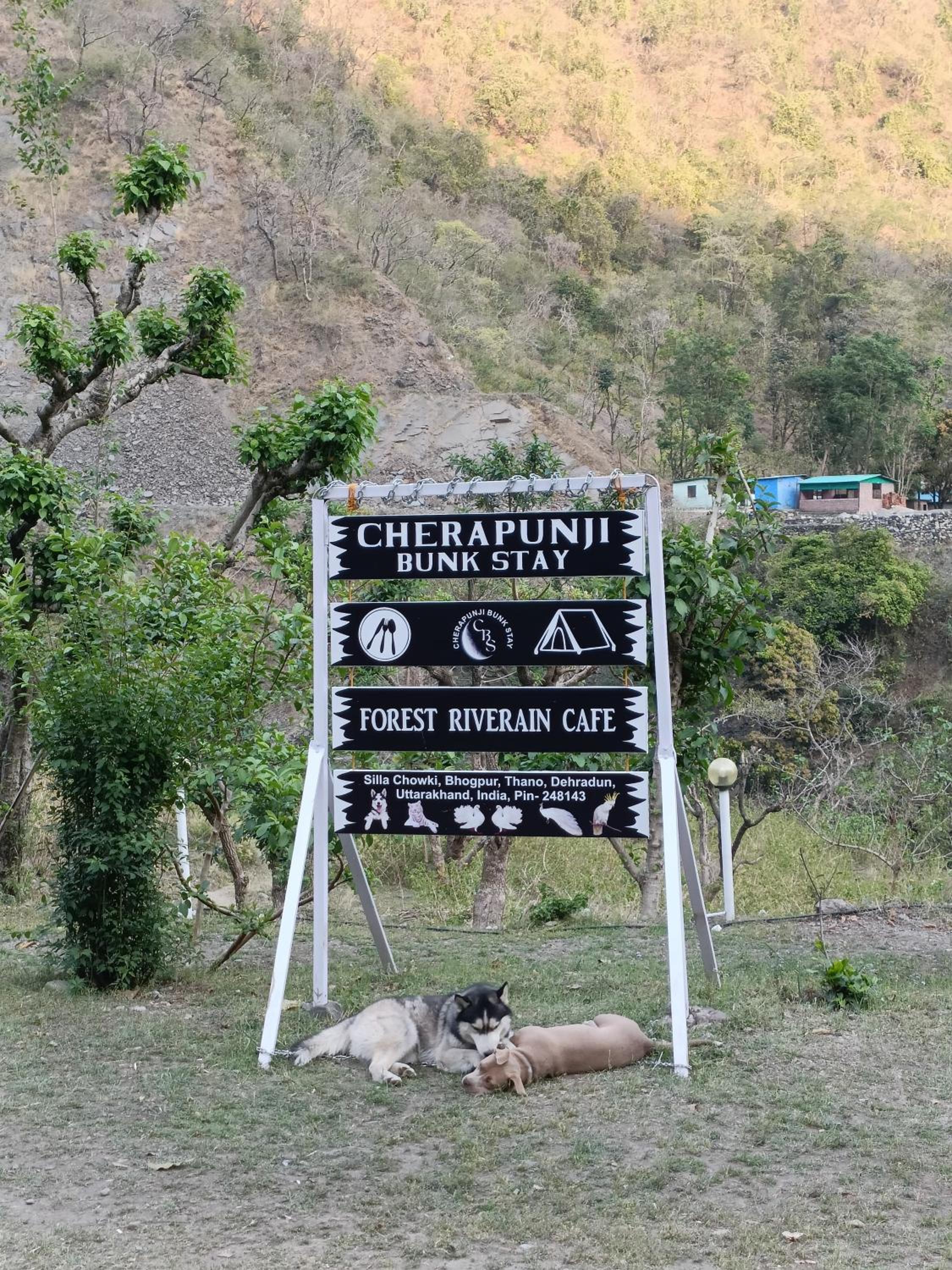 Cherapunji Bunk stay