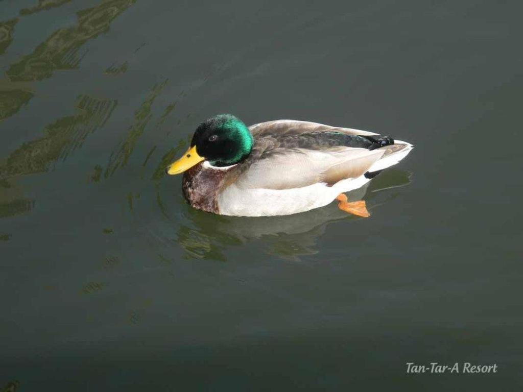 Photo 24
