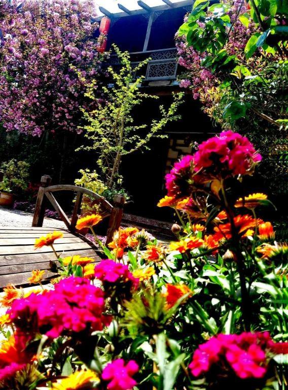 Lijiang Baisha Holiday Resort