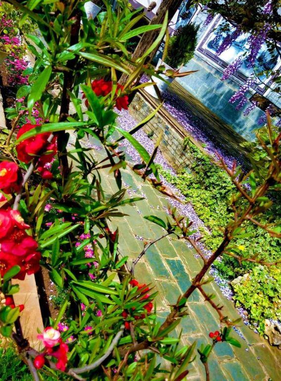 Lijiang Baisha Holiday Resort