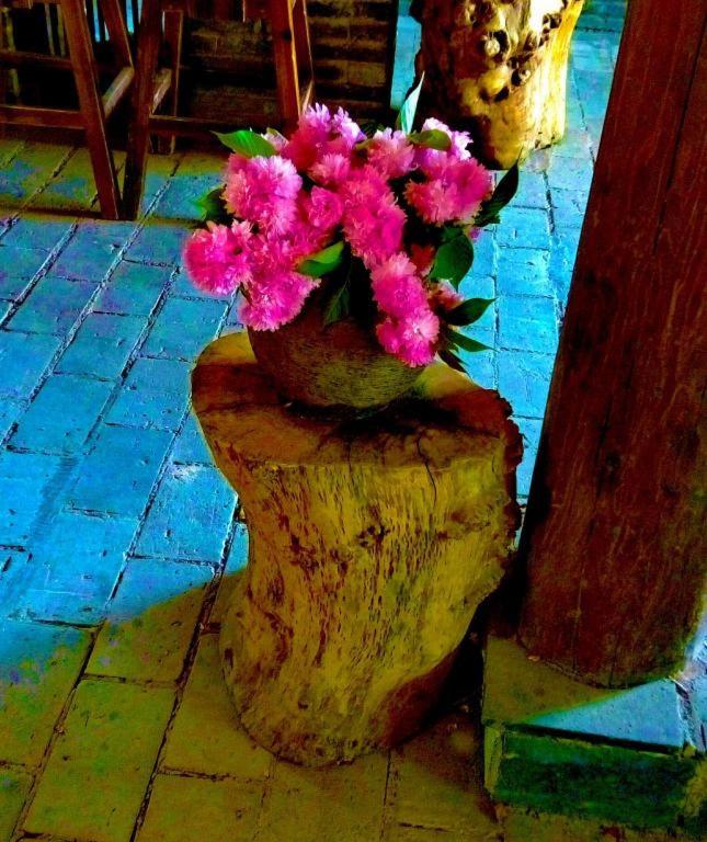 Lijiang Baisha Holiday Resort