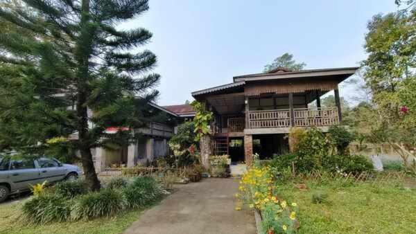 Asomi Singpho Homestay view 2