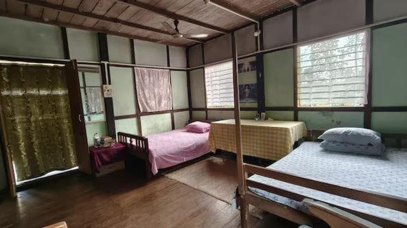 Asomi Singpho Homestay view 3