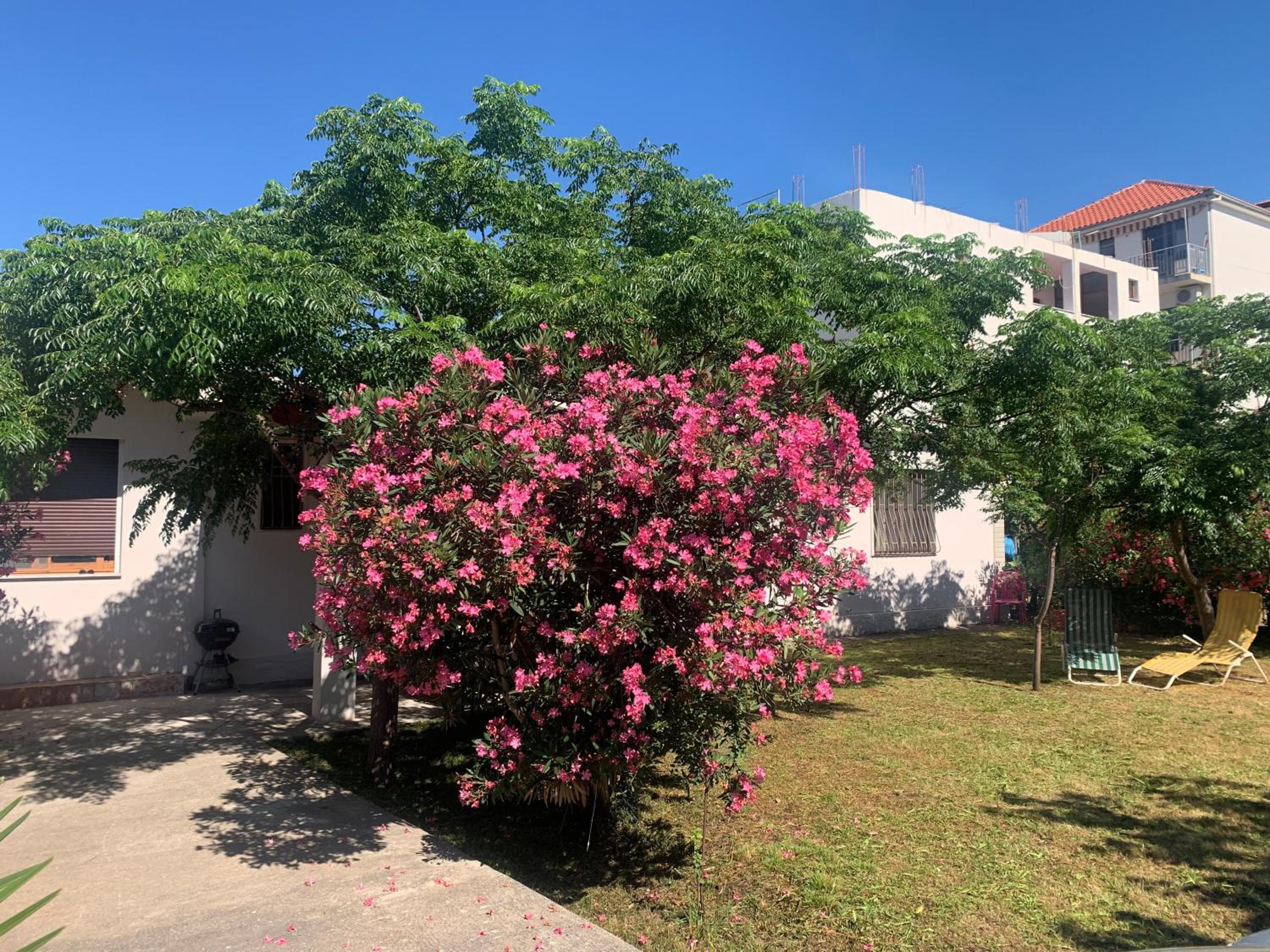 Velipoja Sea House