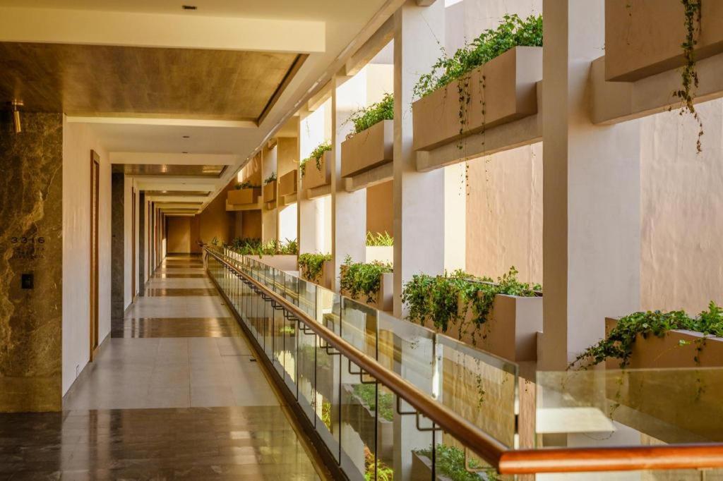 Estudio Playa Mujeres – All Inclusive
