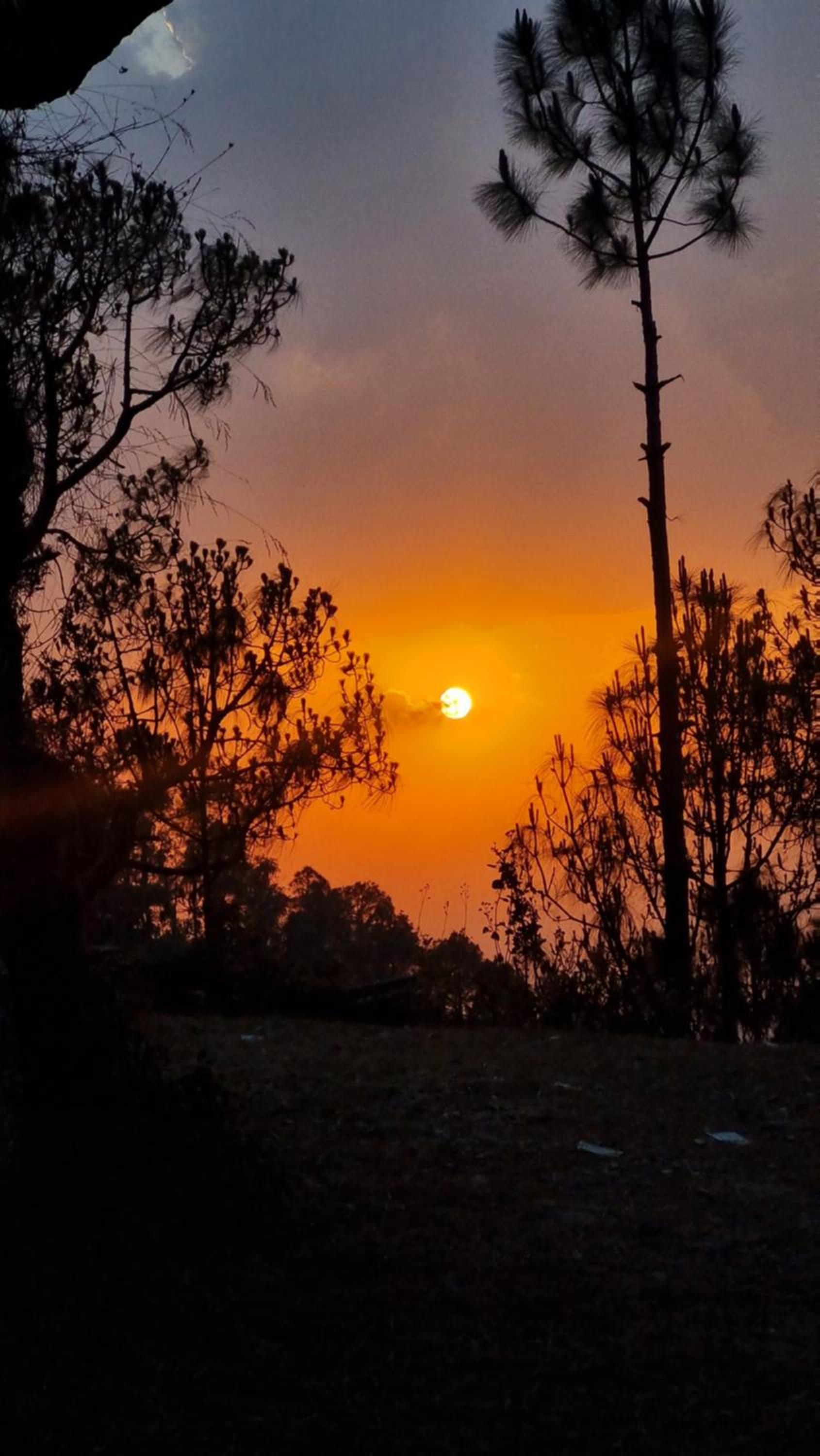 binsar backpackers room view 2