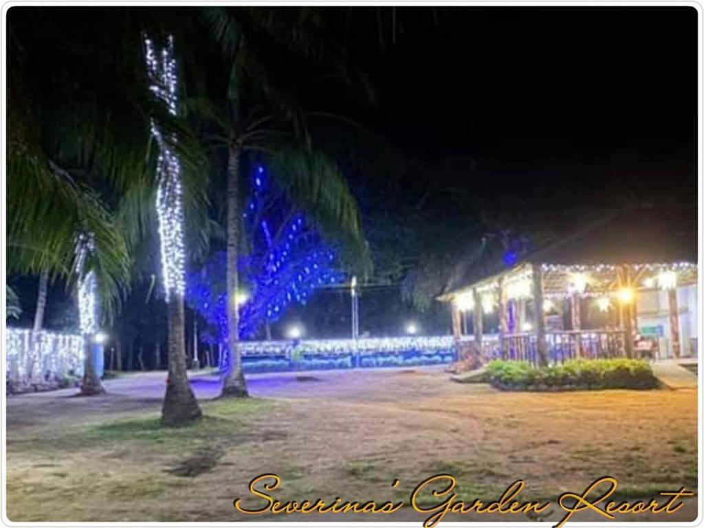 Severinas Garden by Cocotel view 2