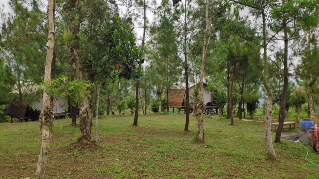 Bukit Lintang Sewu Domping view 4