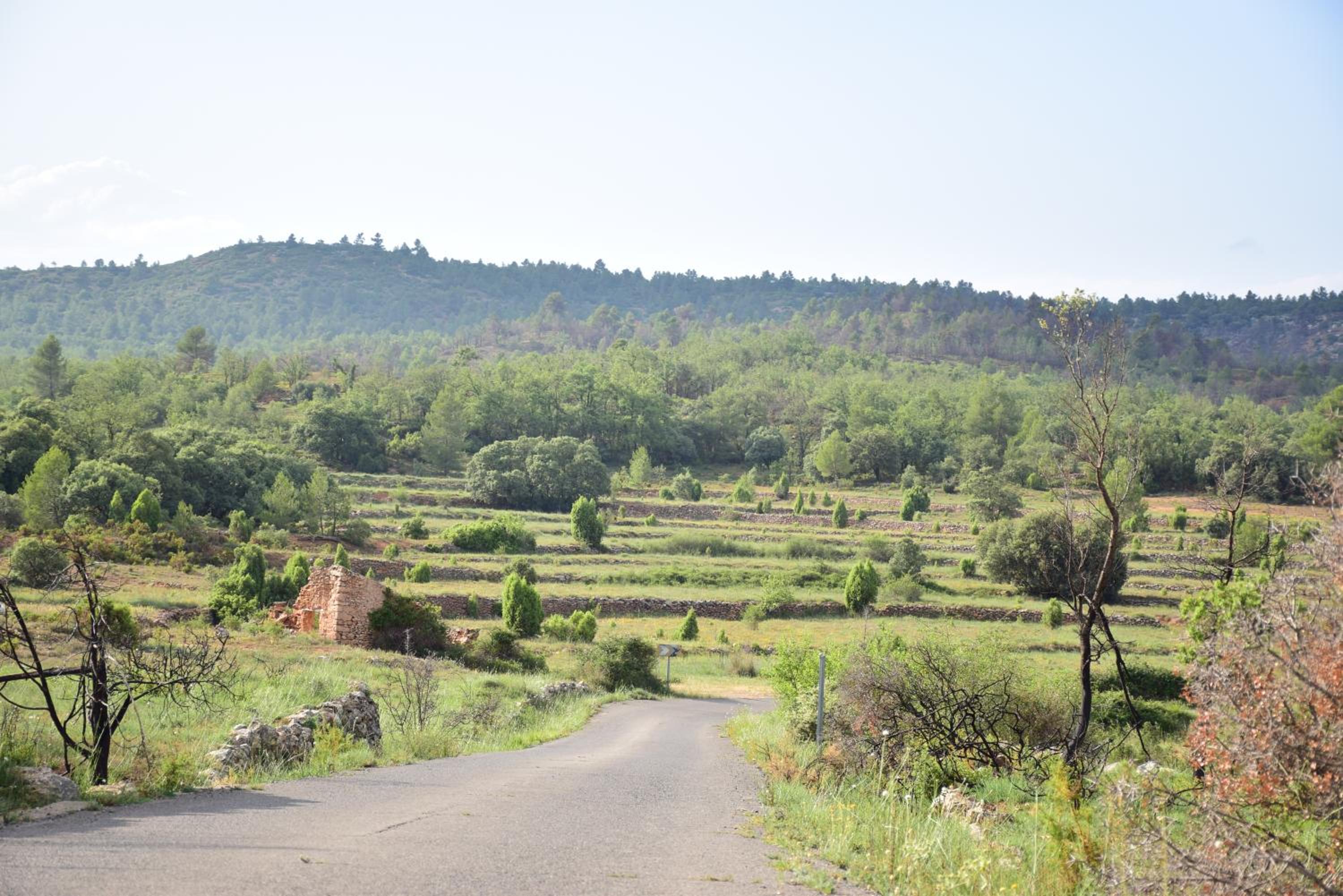 Oasis rural