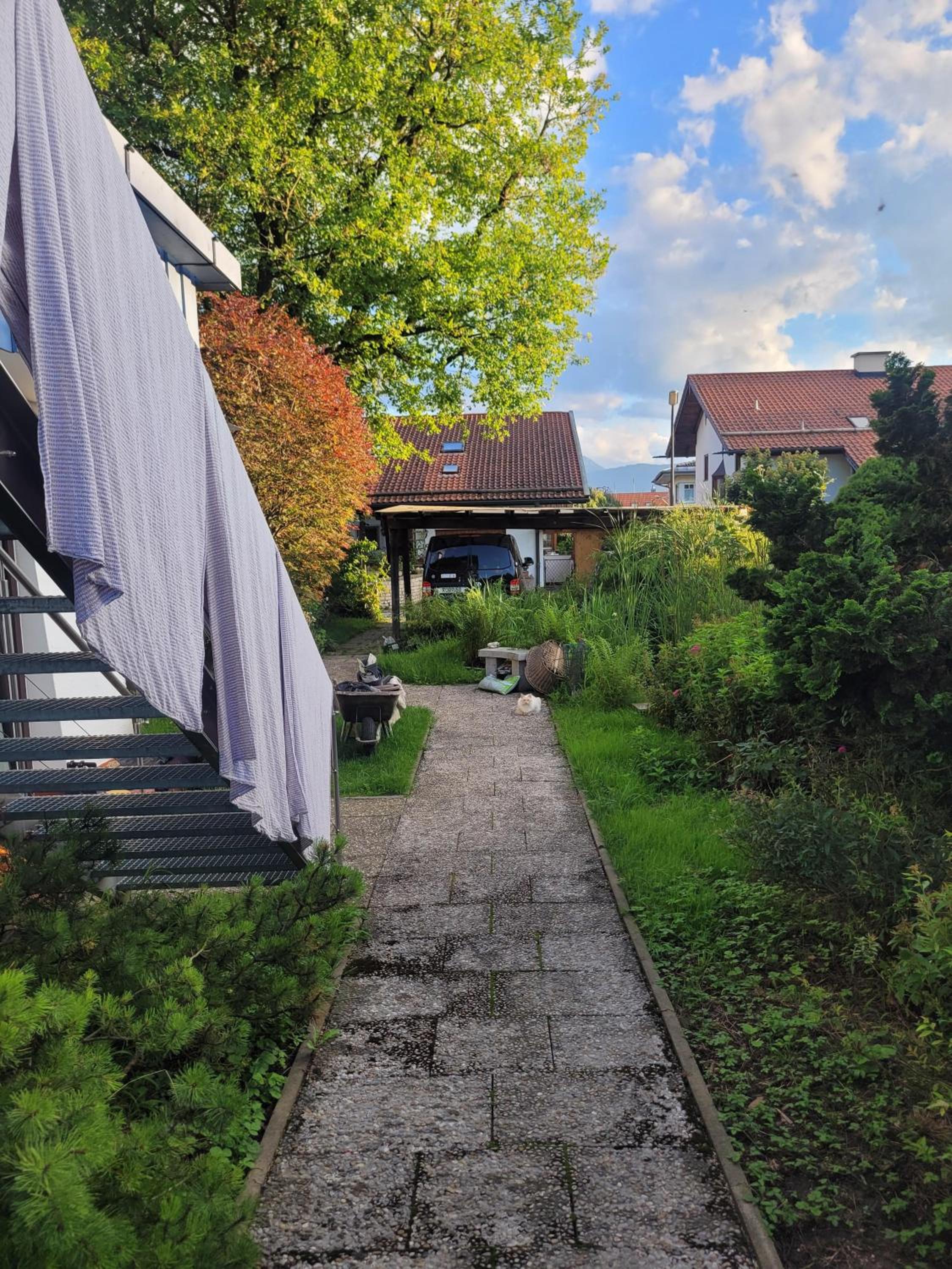 Alpenblick Pang