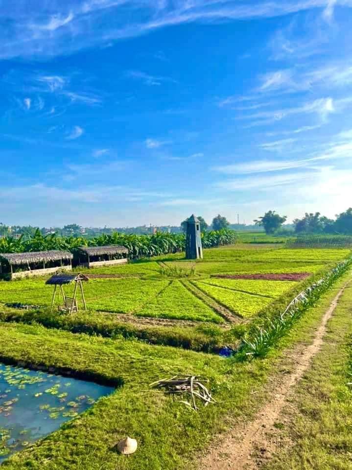 Thanh Chiêm Village