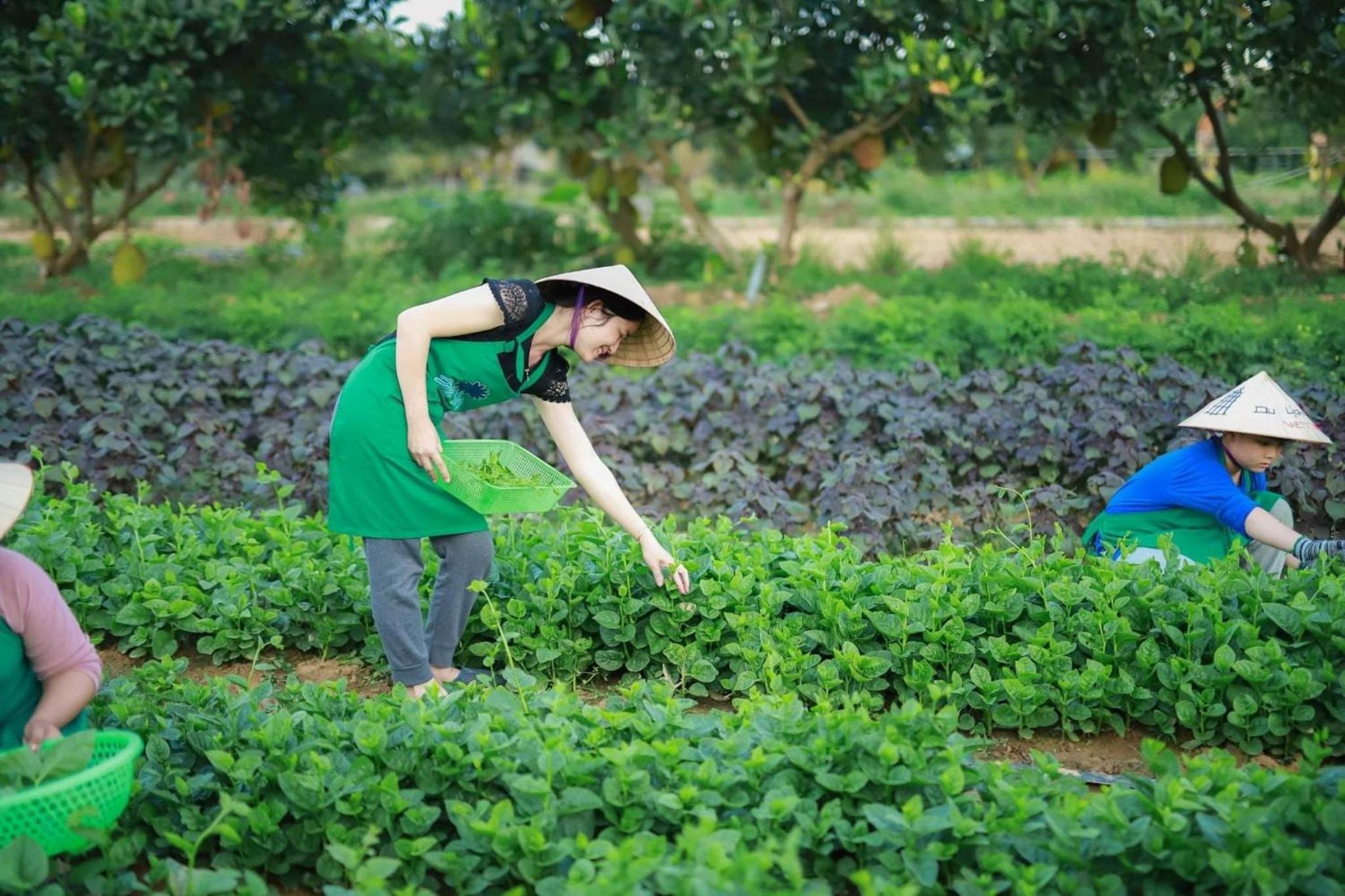 Thanh Chiêm Village