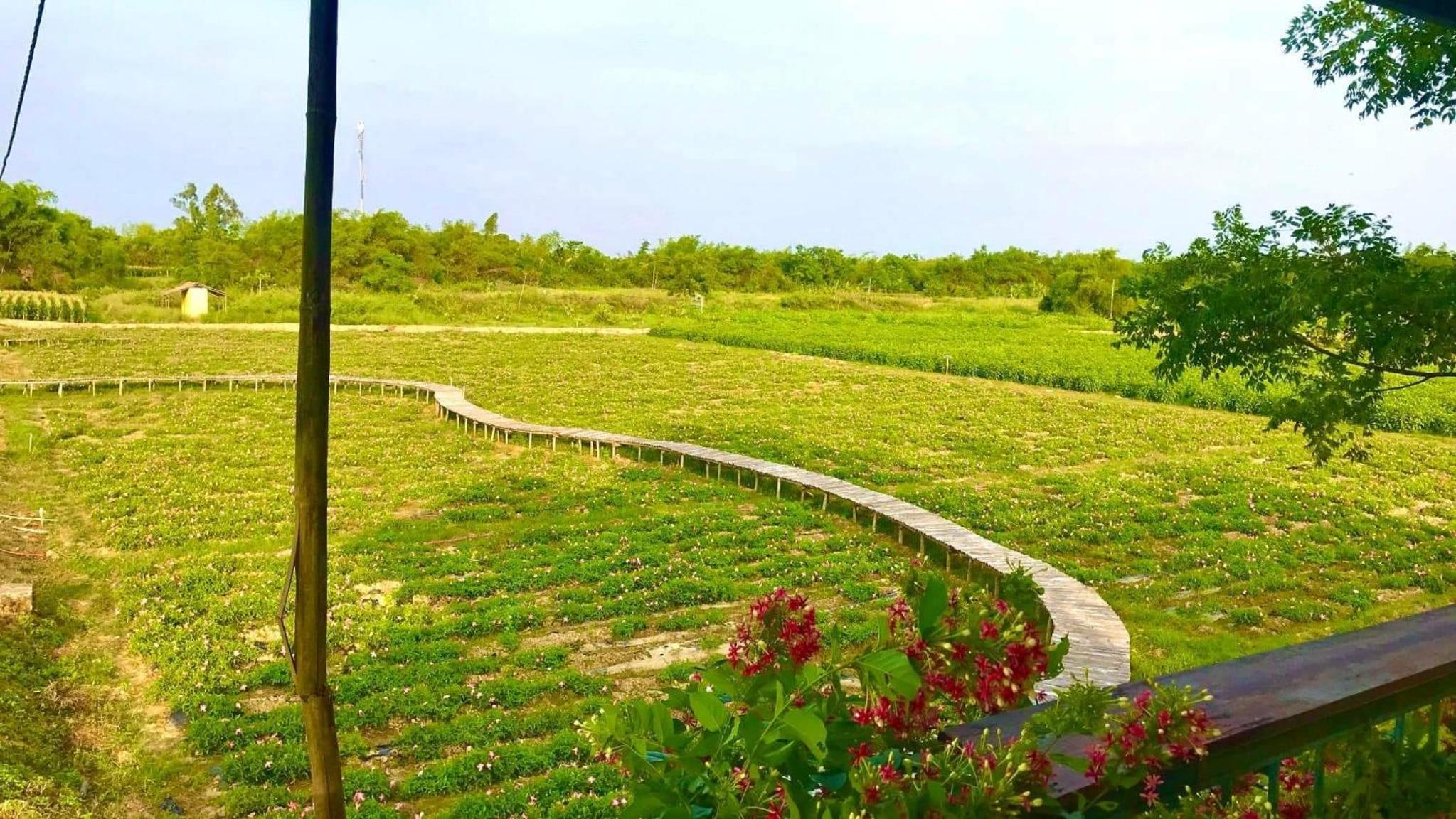 Thanh Chiêm Village