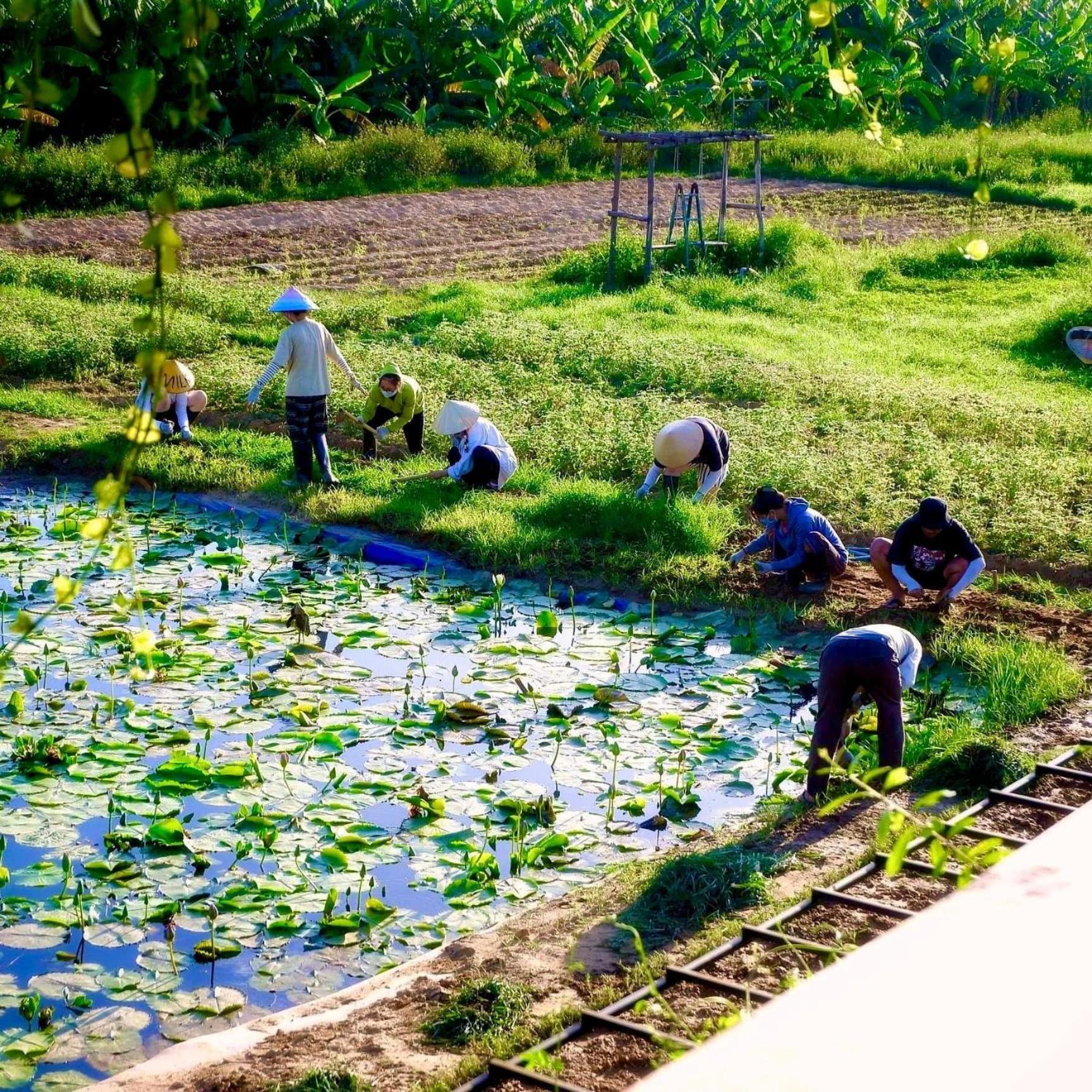 Thanh Chiêm Village