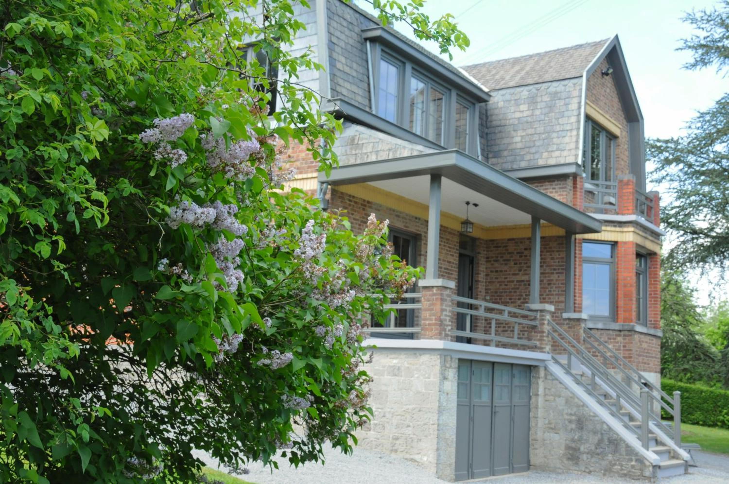 Photo 8