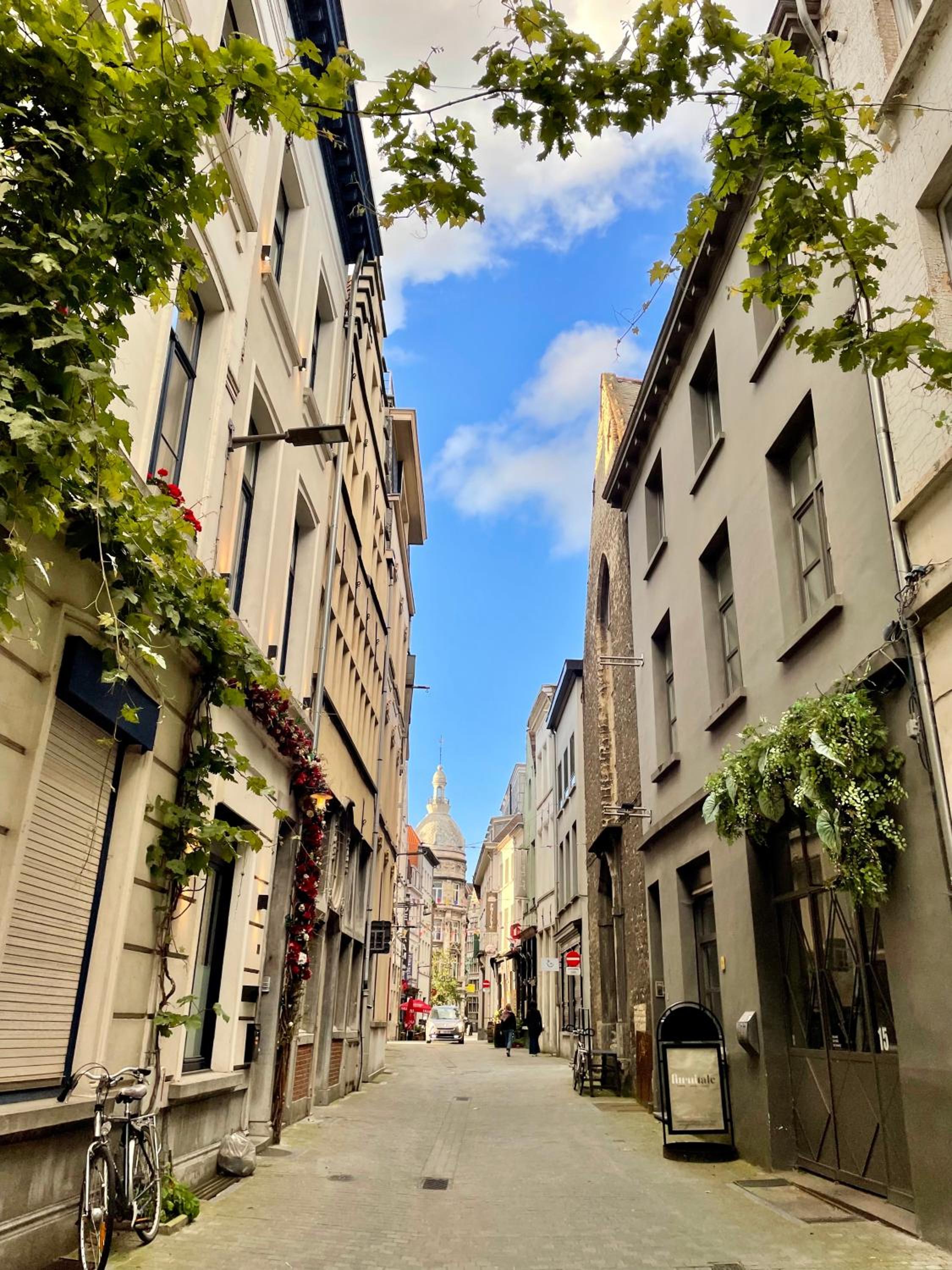 FLAX ANTWERP