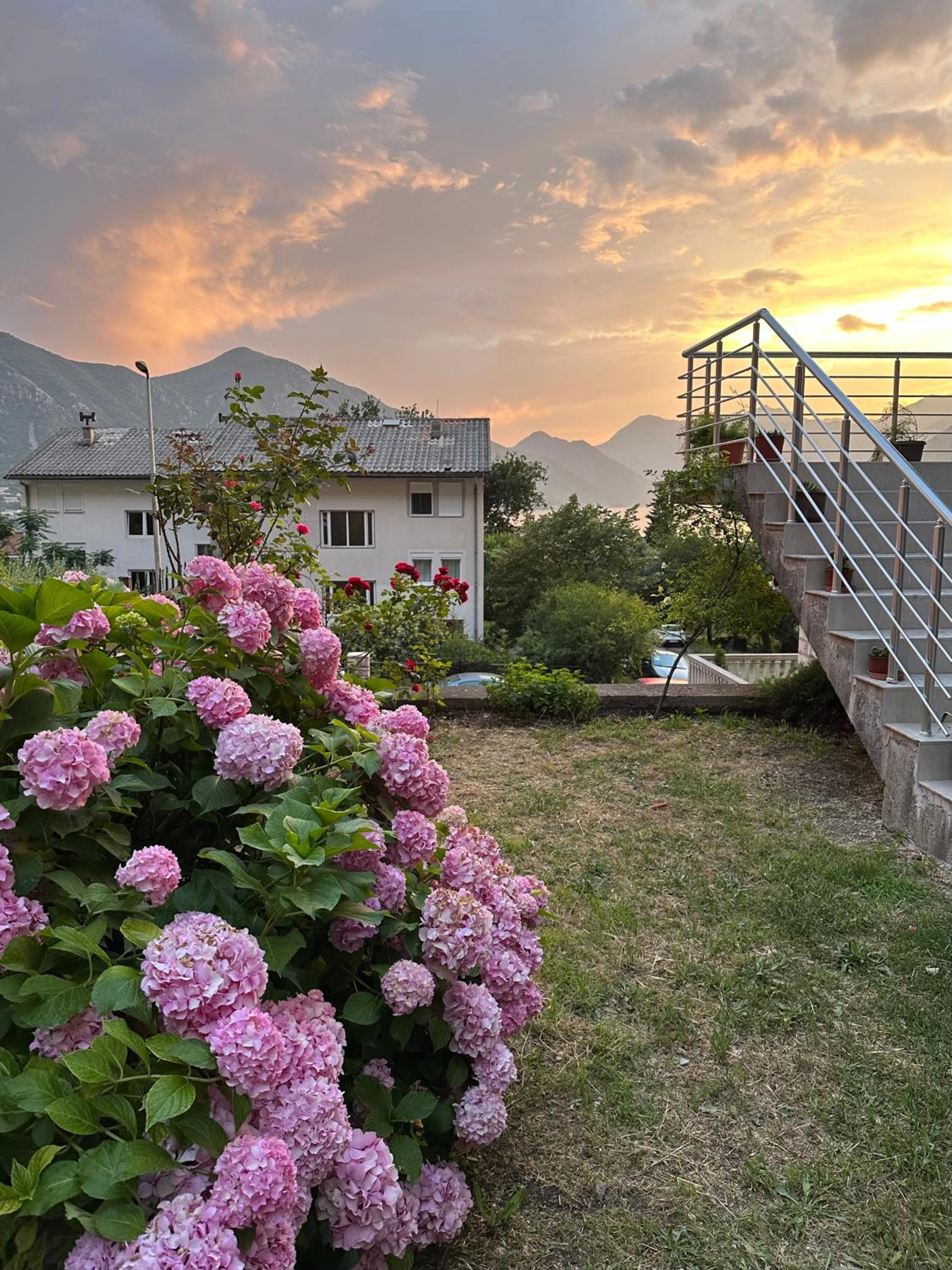 Sunny apartment