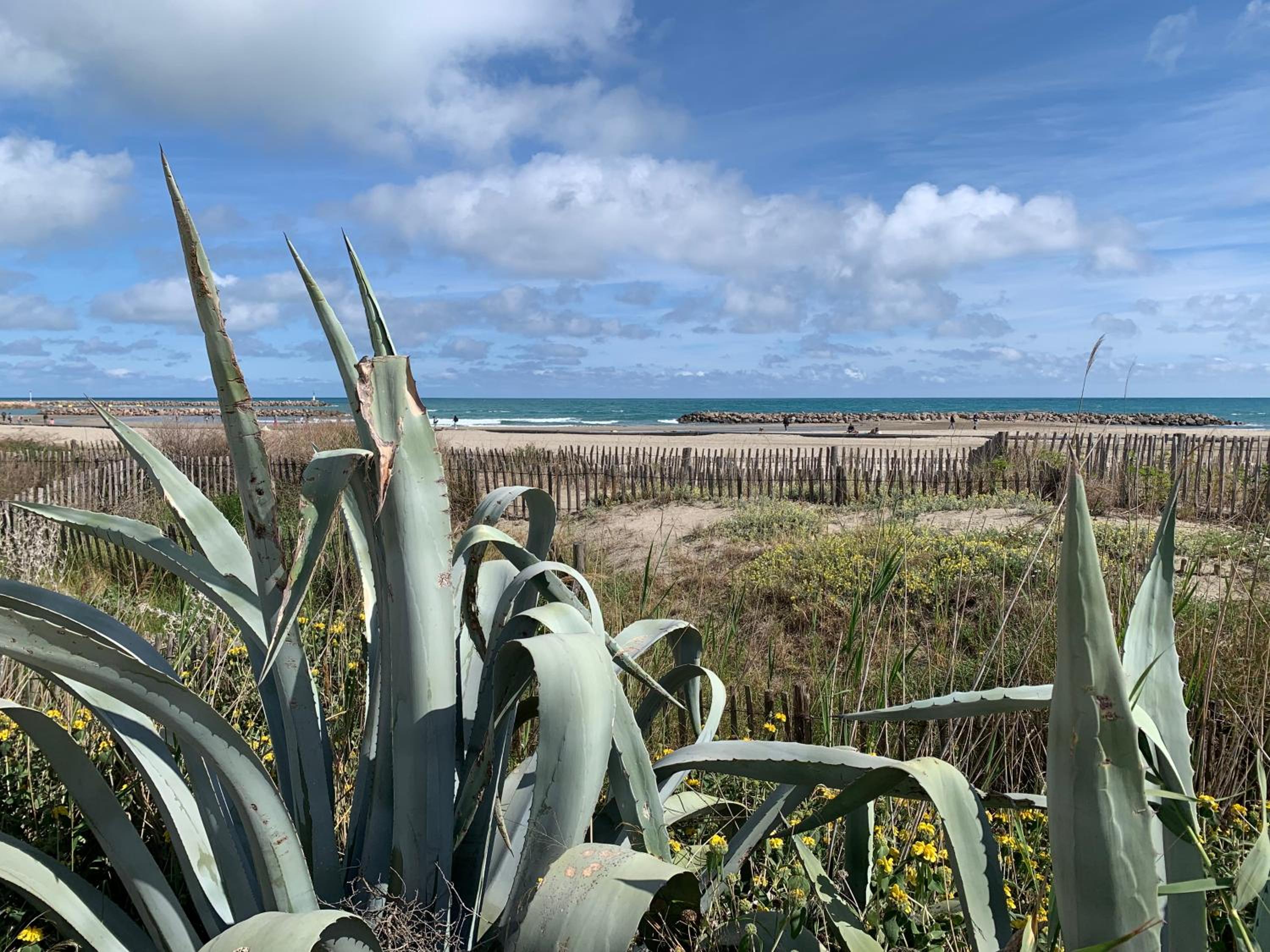 Sète - vue mer imprenable, piscine, calme, photo 9