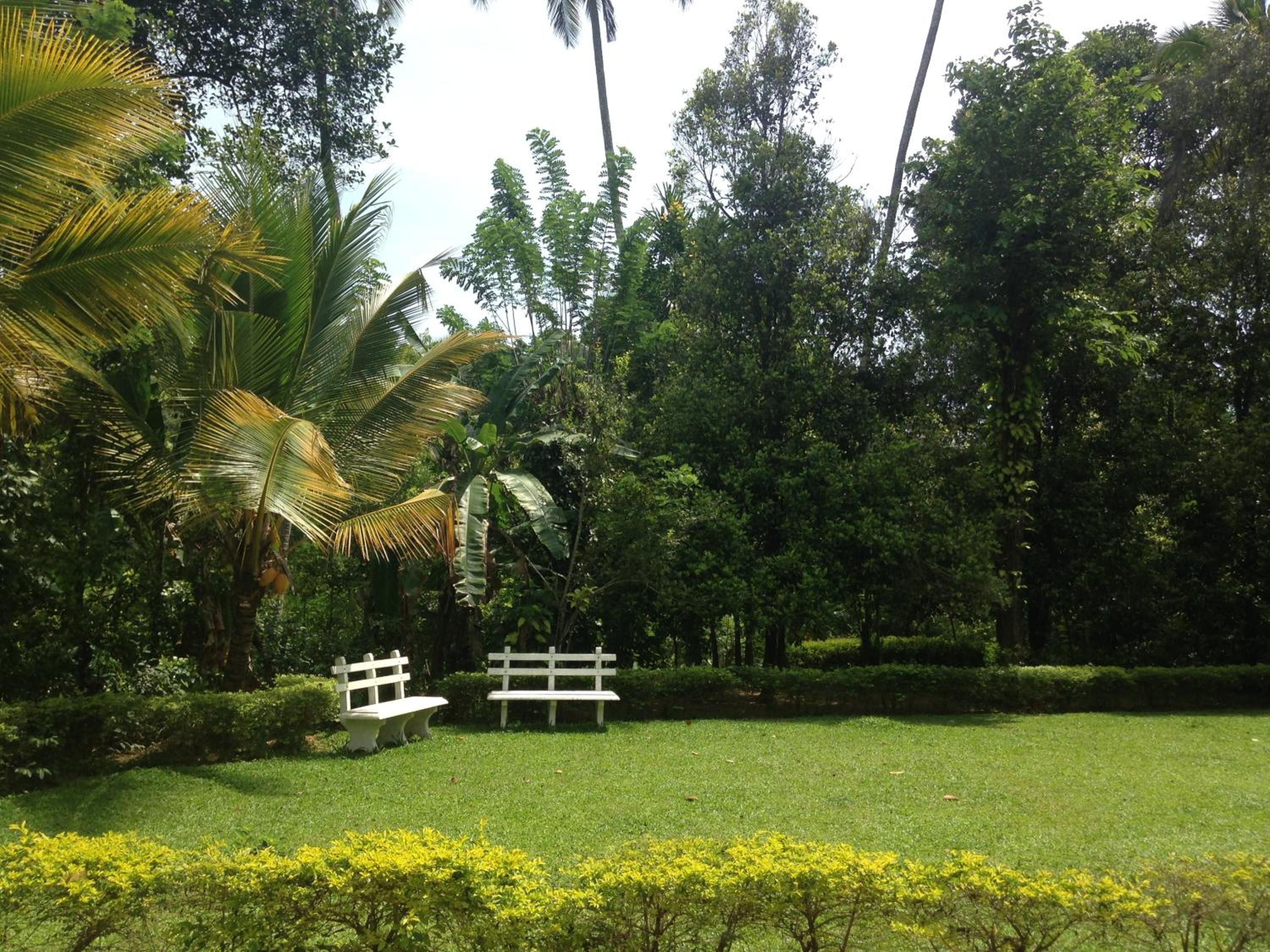 Alfred Colonial Bungalow & Spice Garden view 2