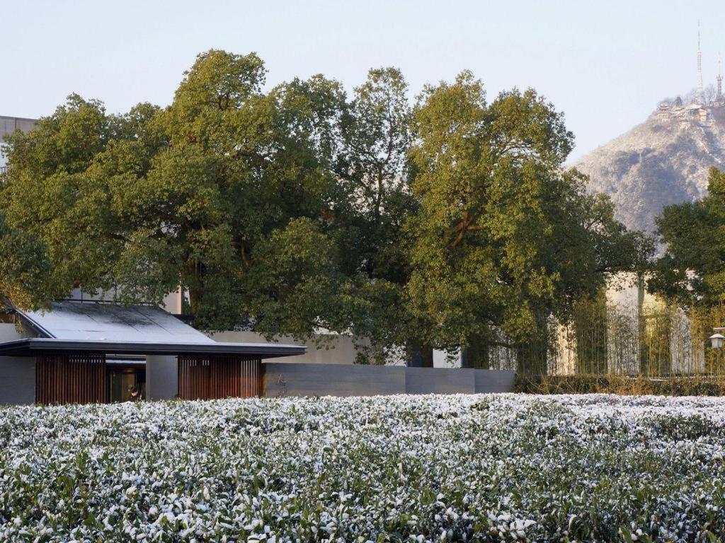 Pins De La Brume Hotel
