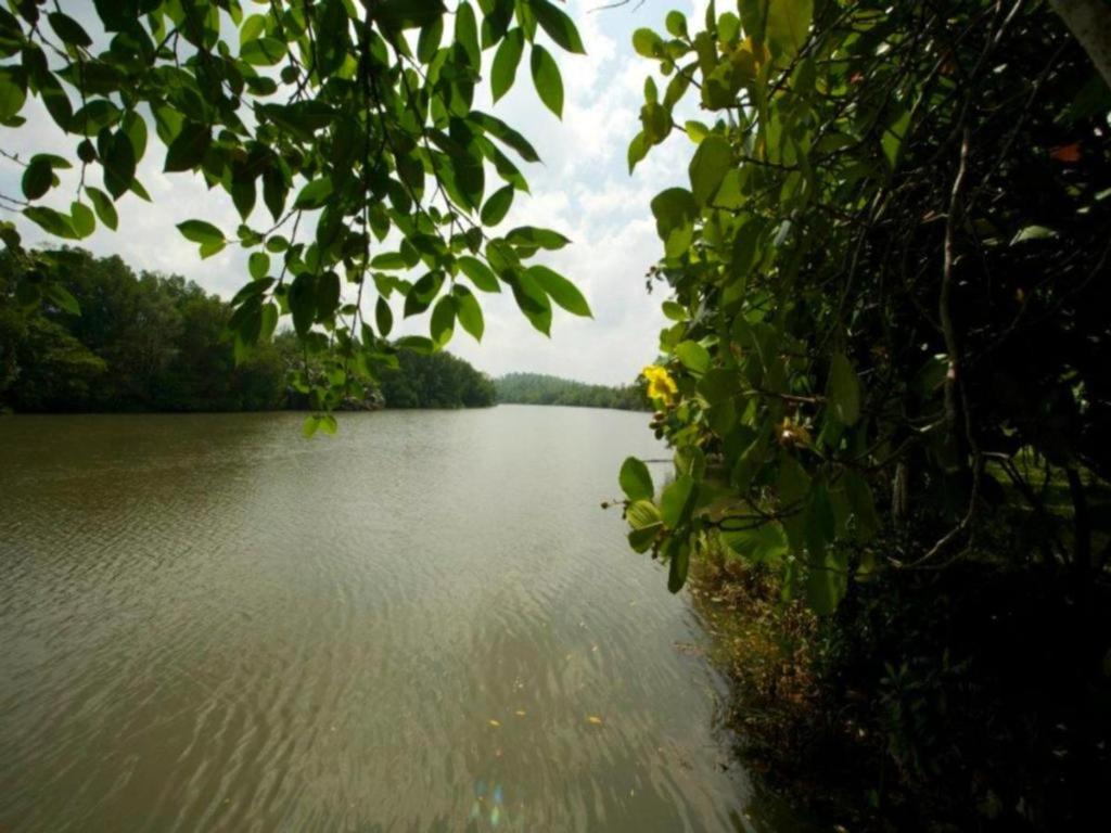 Mangrove Escapes Resort