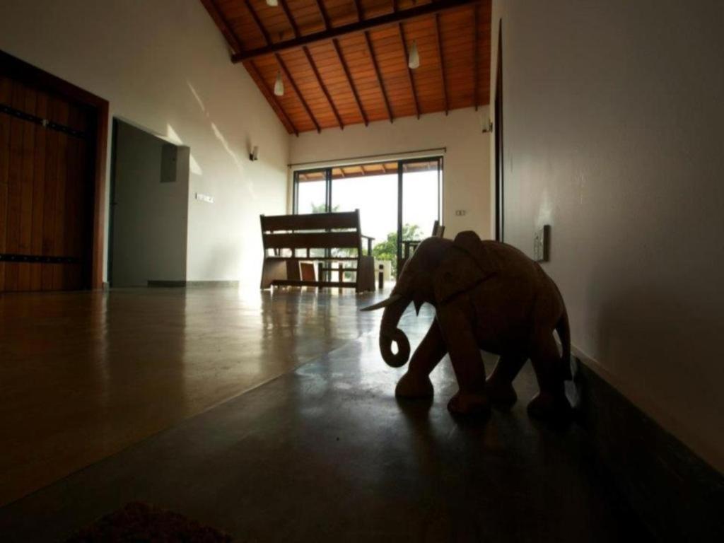 Mangrove Escapes Resort
