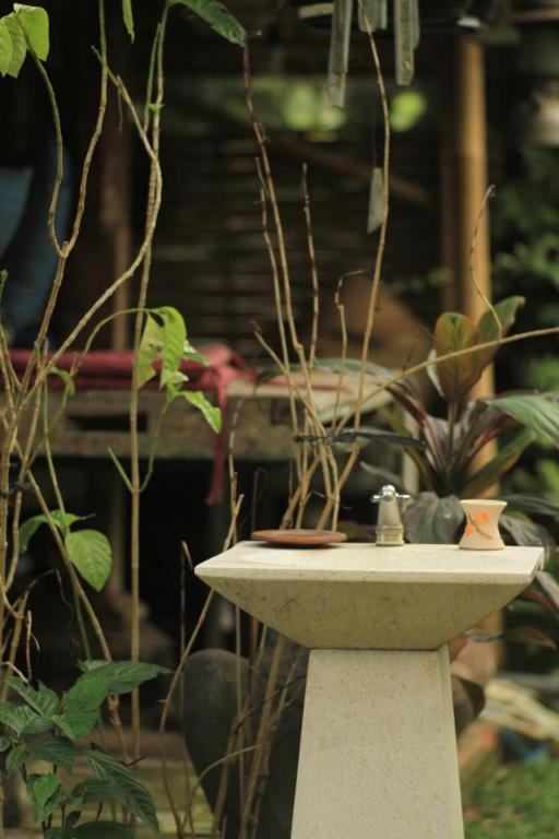 Desa Cepaka Homestay