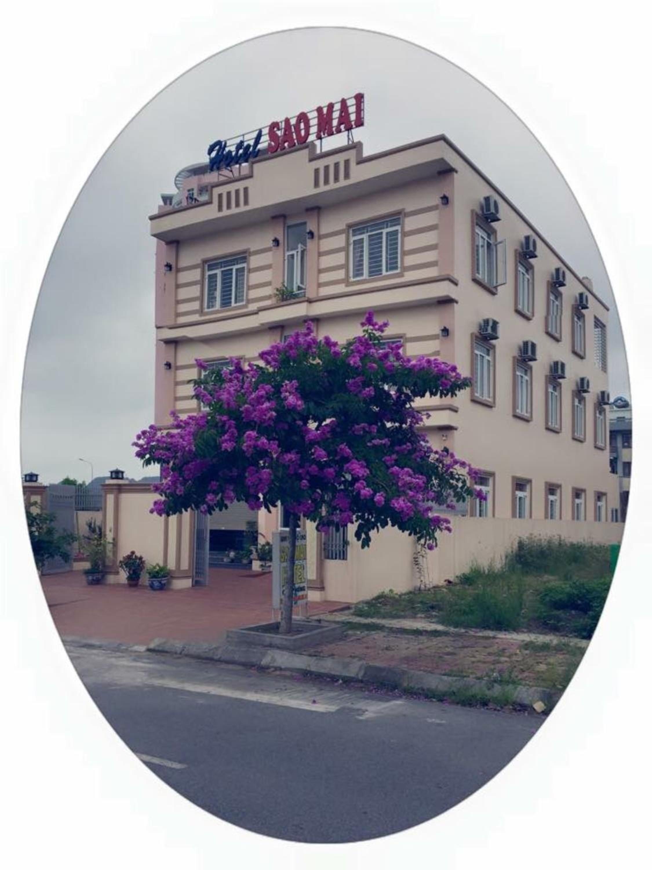 Sao Mai Hotel Hạ Long view 5