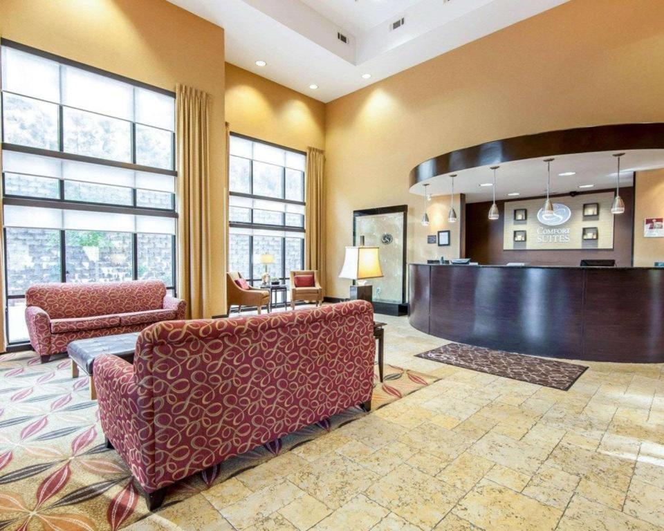 Comfort Suites view 3