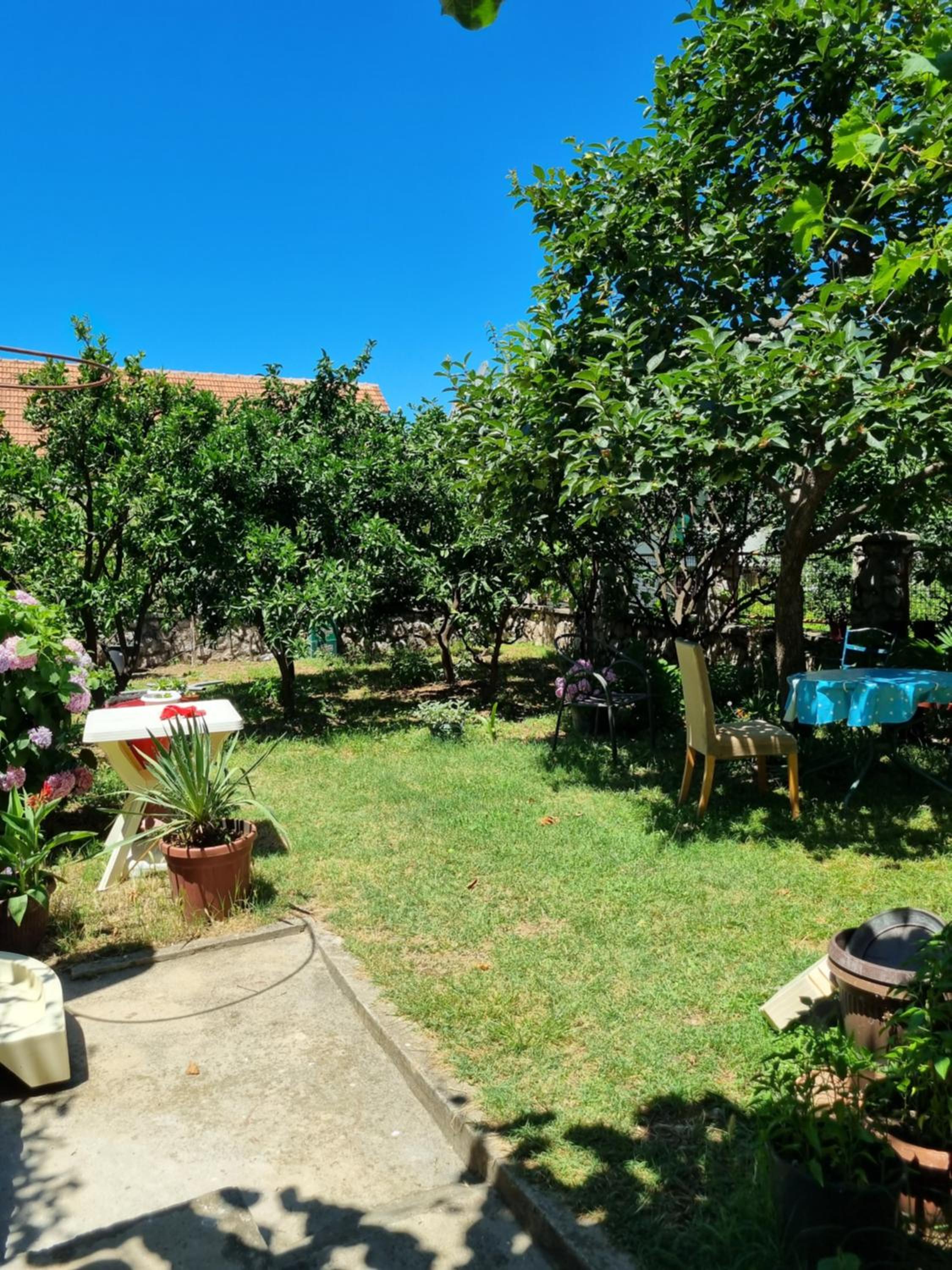 Apartmani Ilić