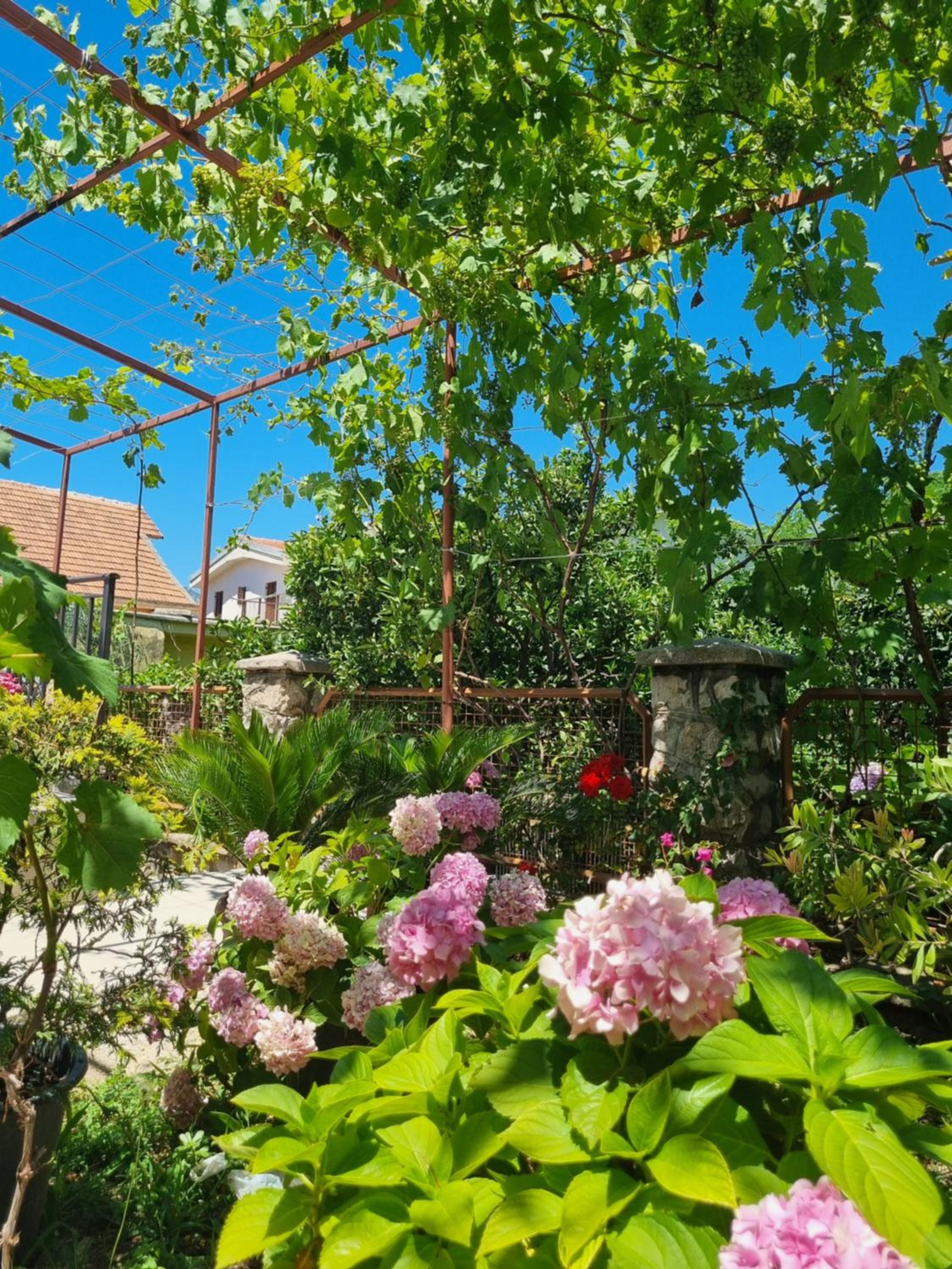 Apartmani Ilić
