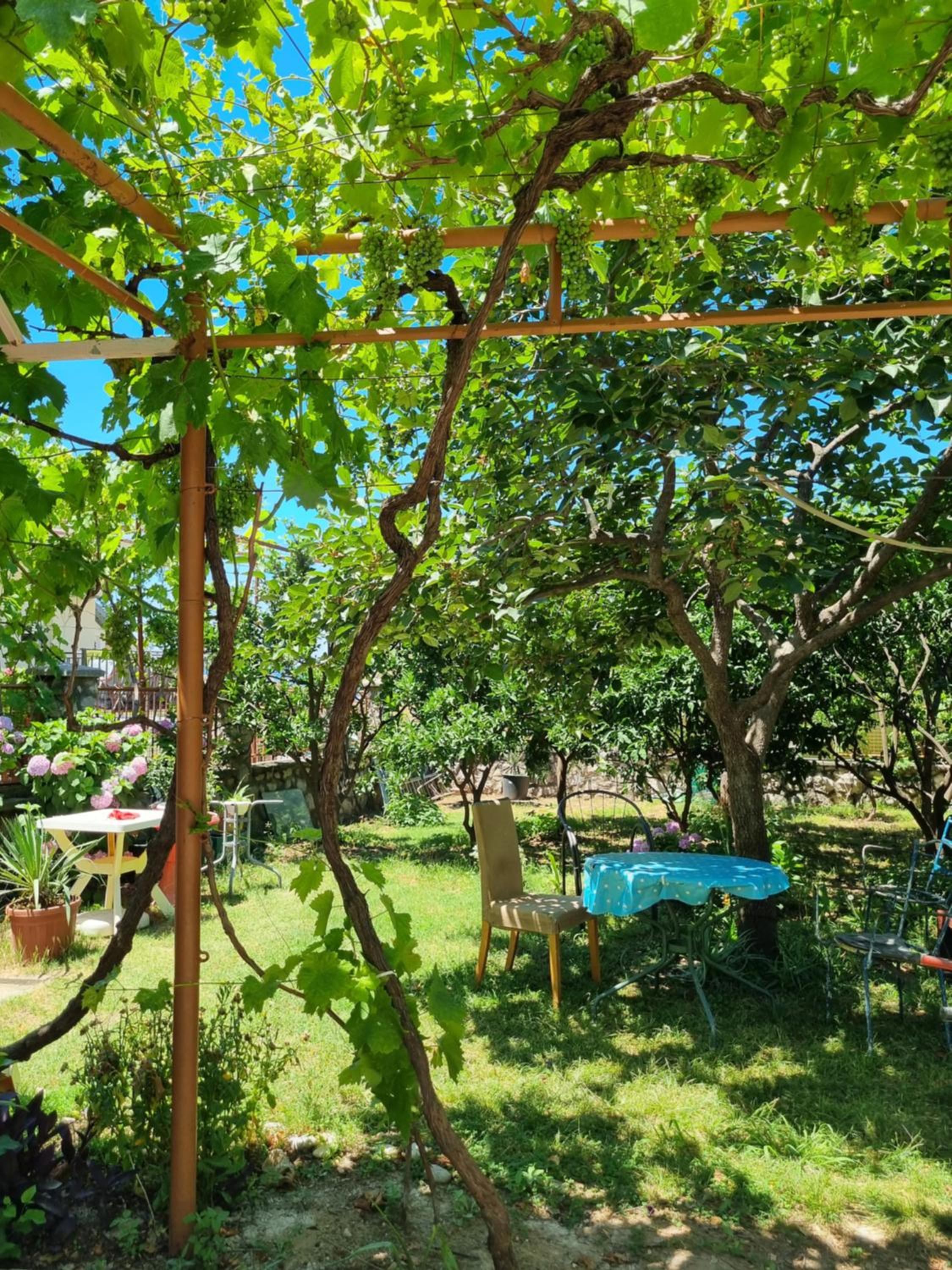 Apartmani Ilić