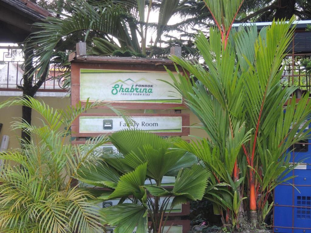 Shabrina Homestay Syariah view 2