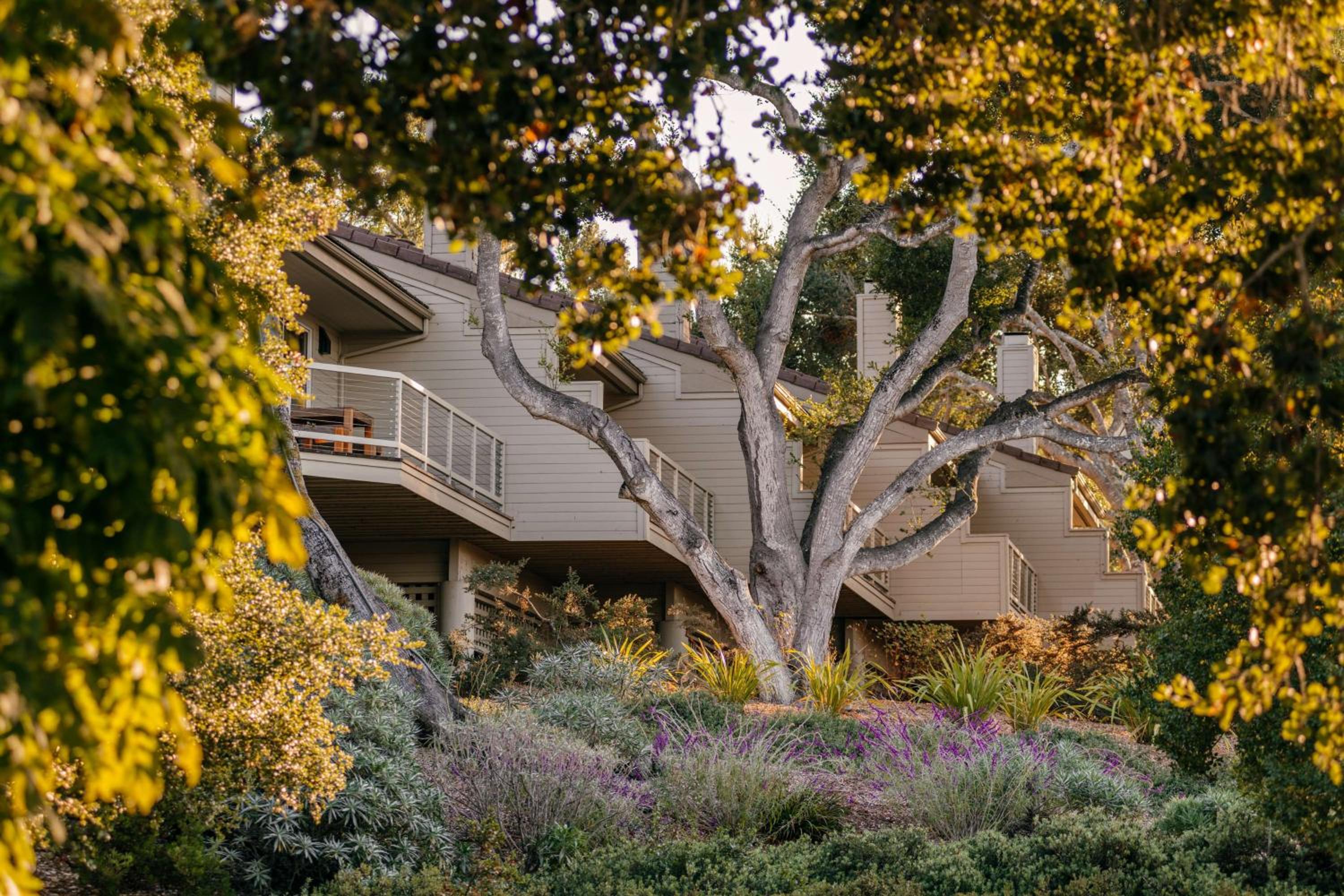 Carmel Valley Ranch, in The Unbound Collection by Hyatt