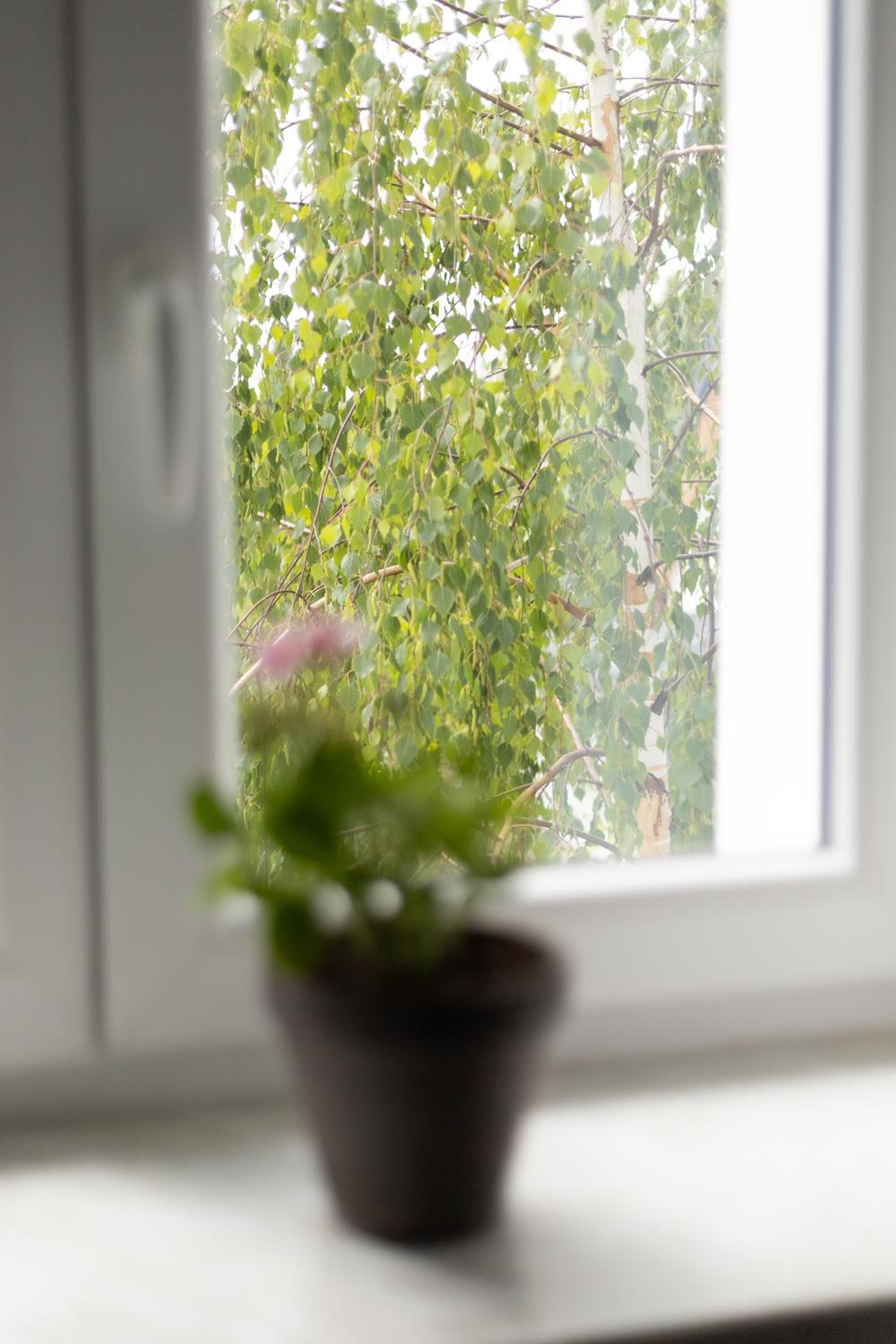 Apartmány paní poštmistrové