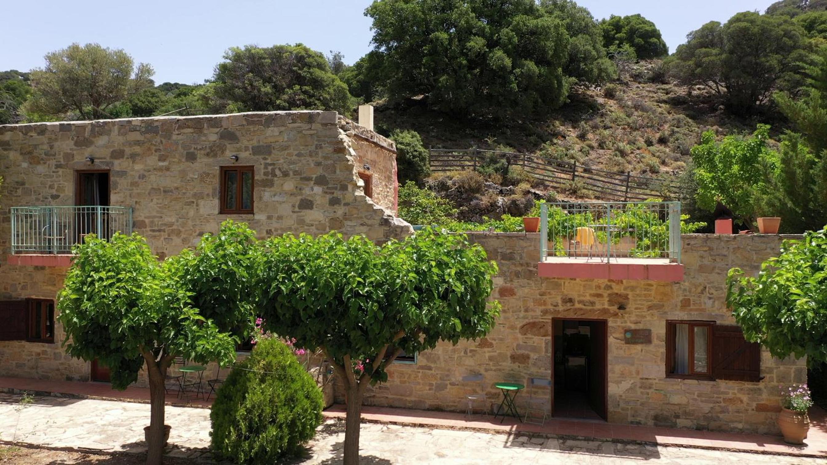 Akros Oreon, Omalos Studio