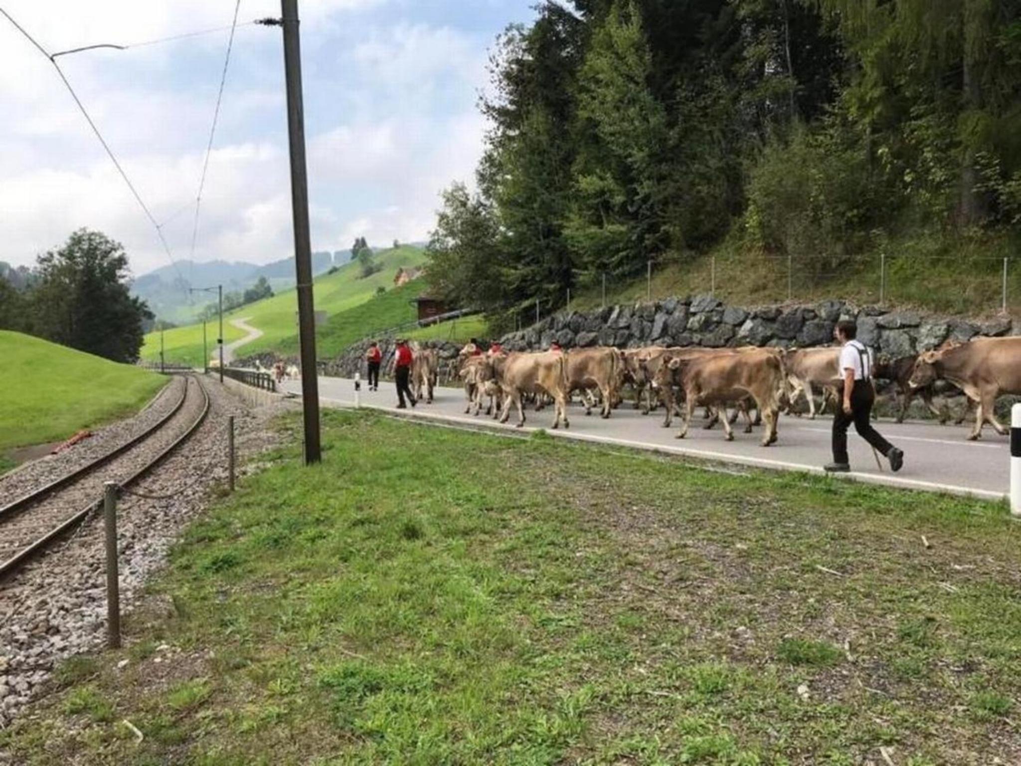 Ferienhaus im Appenzellerland, Urnäsch