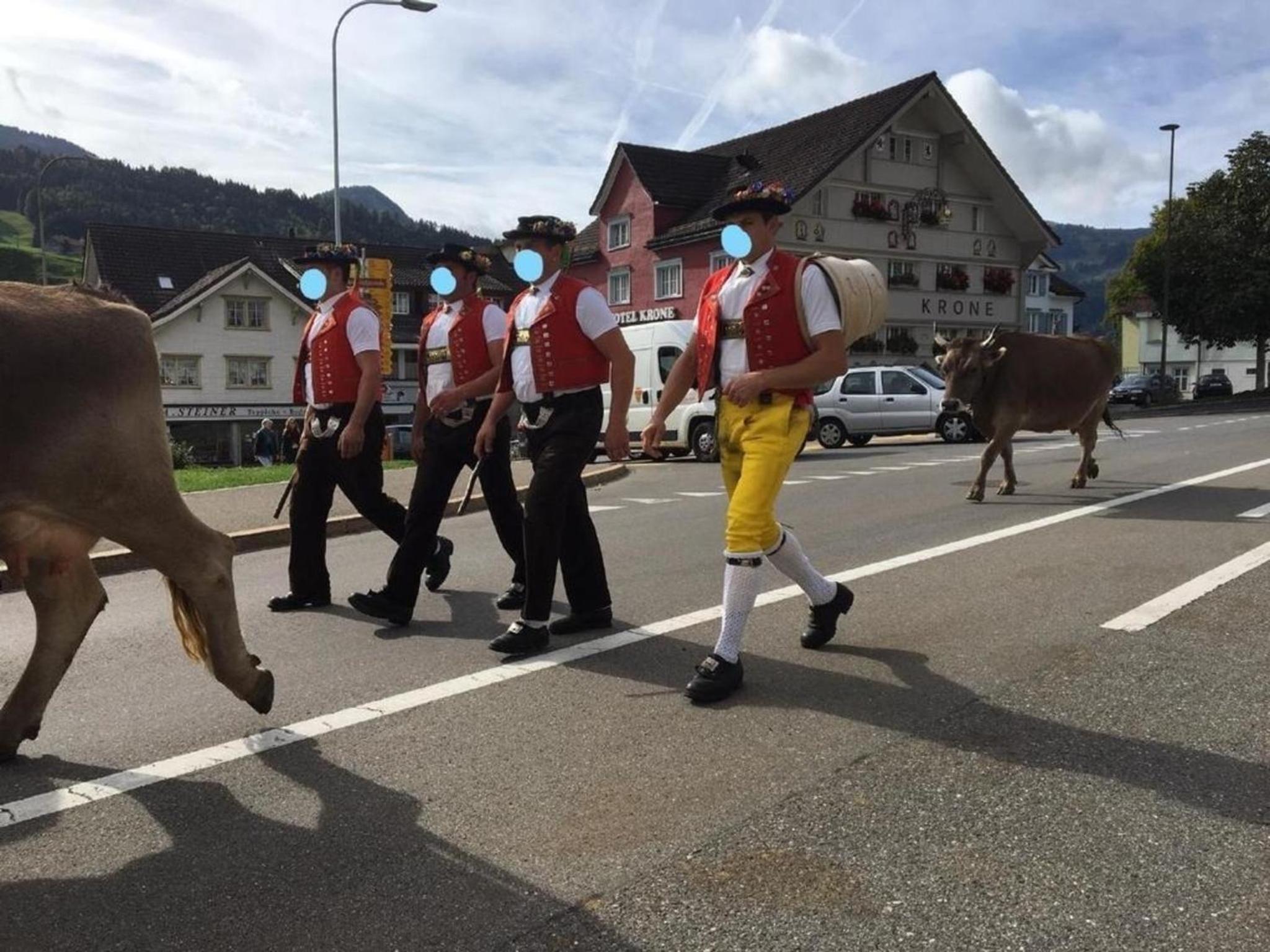 Ferienhaus im Appenzellerland, Urnäsch