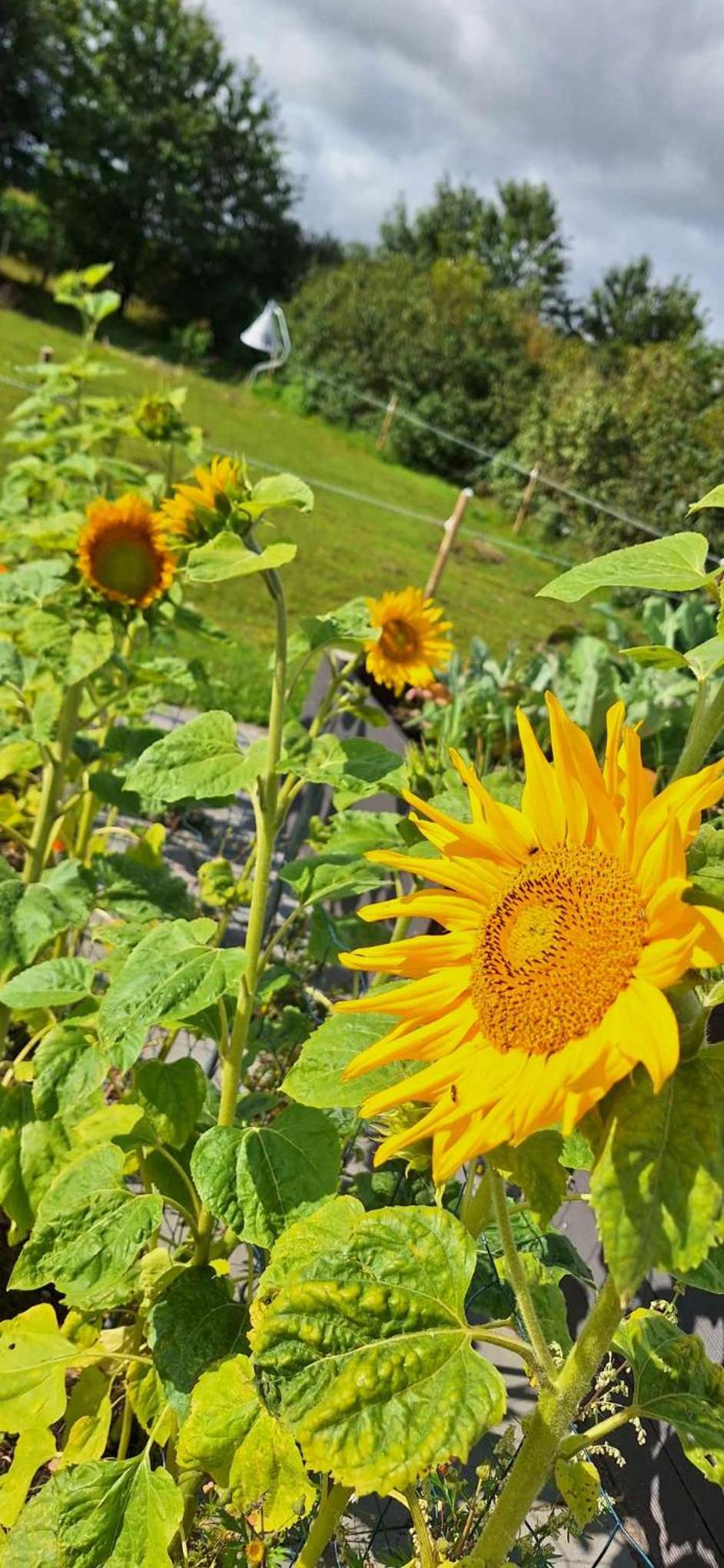 Groennebaek Bed and Breakfast