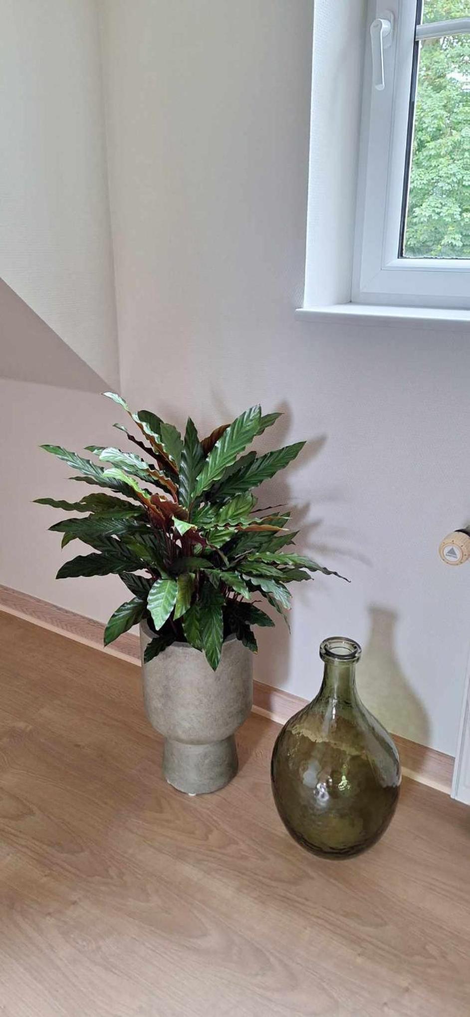 Groennebaek Bed and Breakfast