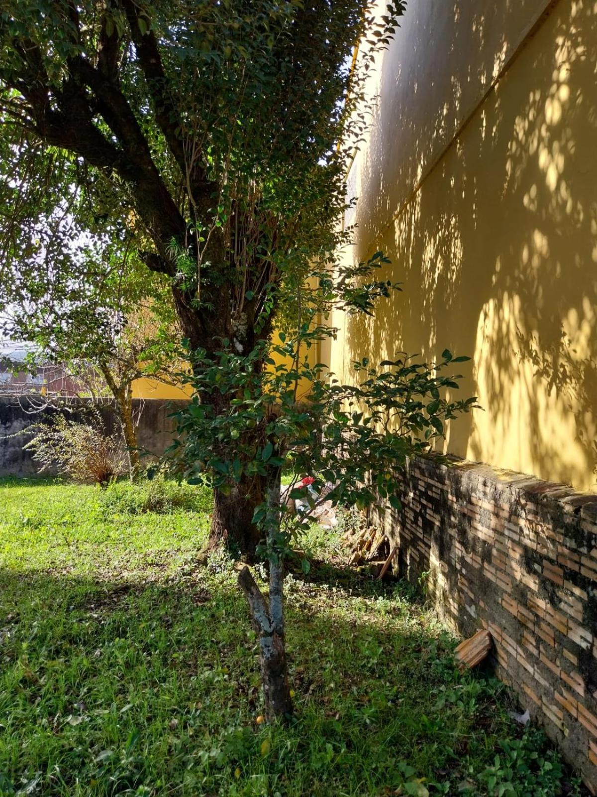 Super Casa I Apto 4 Quartos no Centro