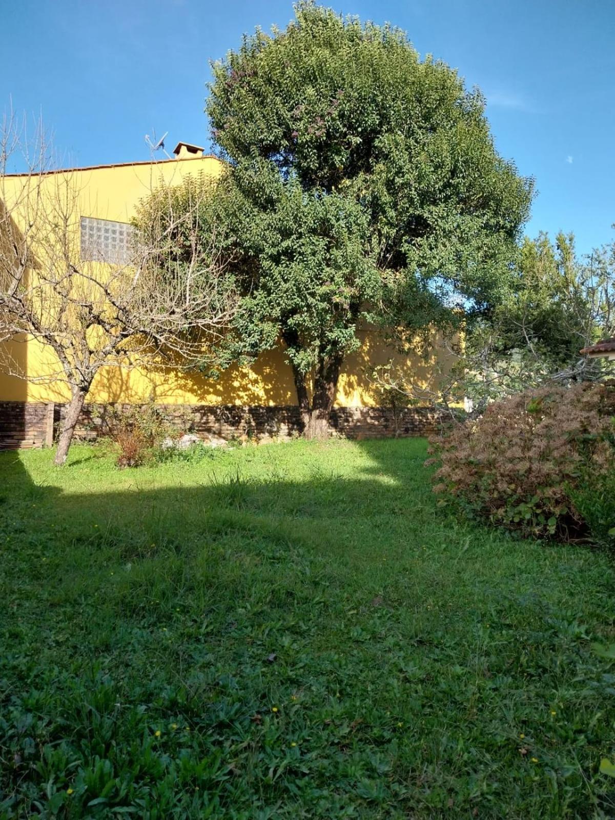 Super Casa I Apto 4 Quartos no Centro