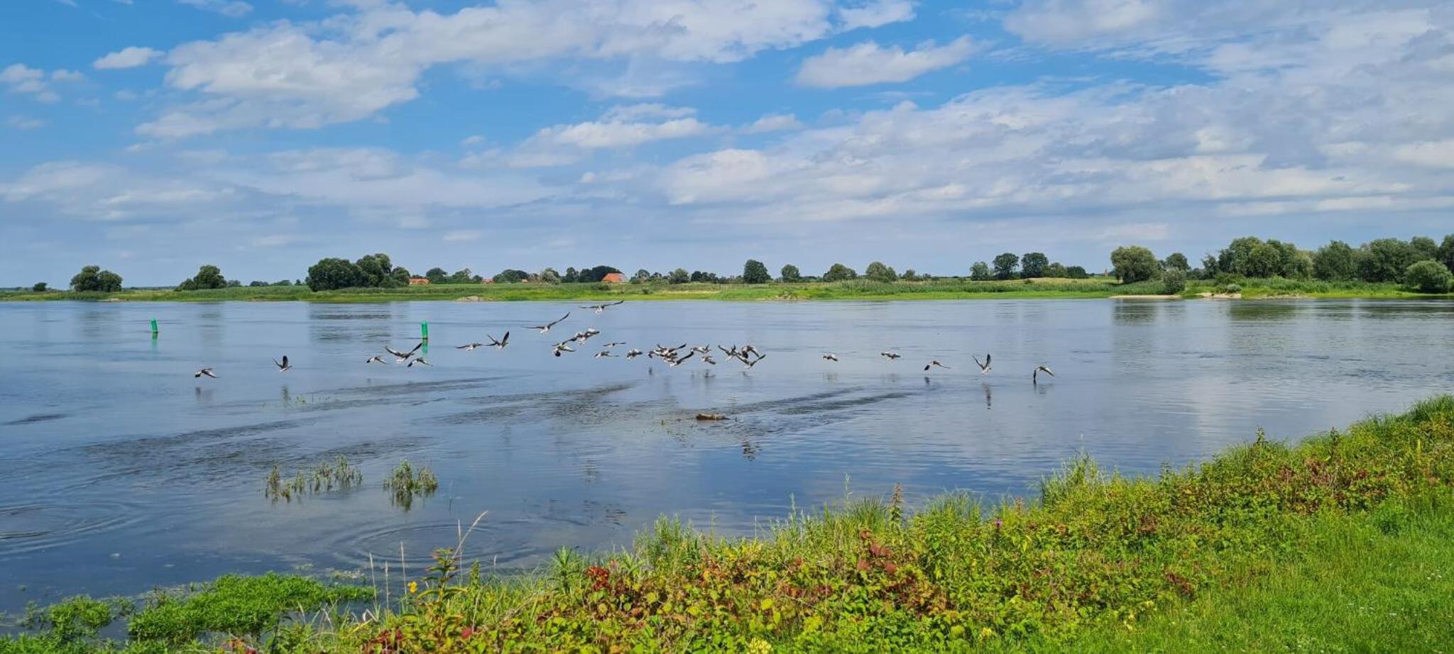 Ferienwohnung An Der Elbe